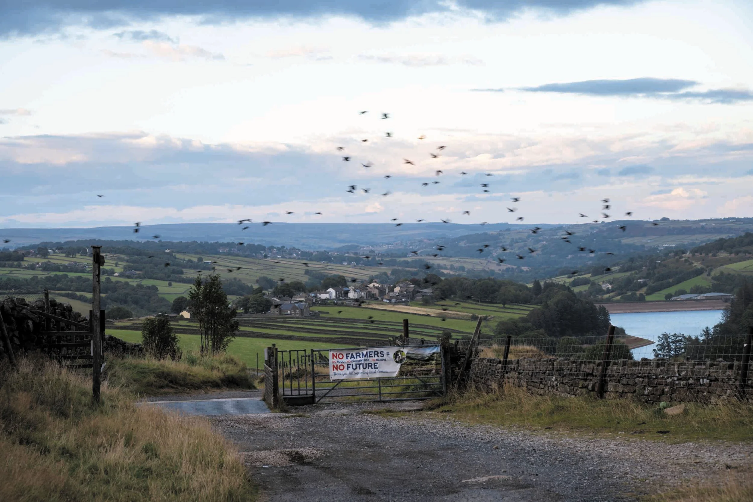 Landelijk landschap met een vergezichten over heuvels, een meer, een dorp en een groep vliegende vogels in een bewolkte lucht.