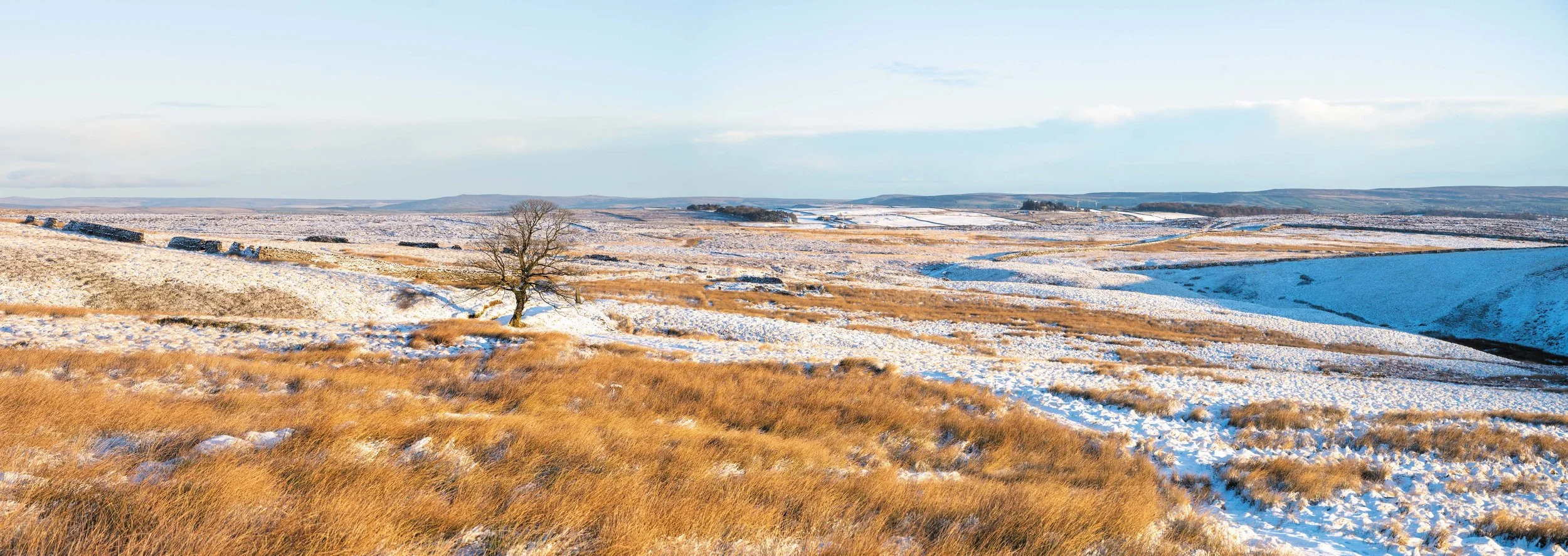Winterlandschap met een enkel kaal boom, gras en sneeuw bedekte heuvels en een heldere blauwe lucht.
