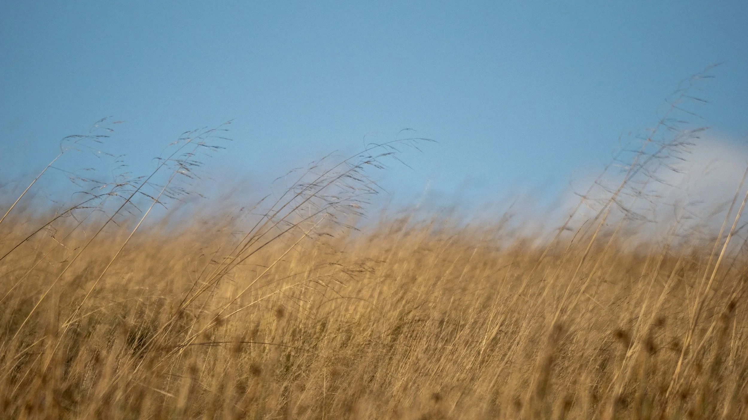 PA220268.jpg