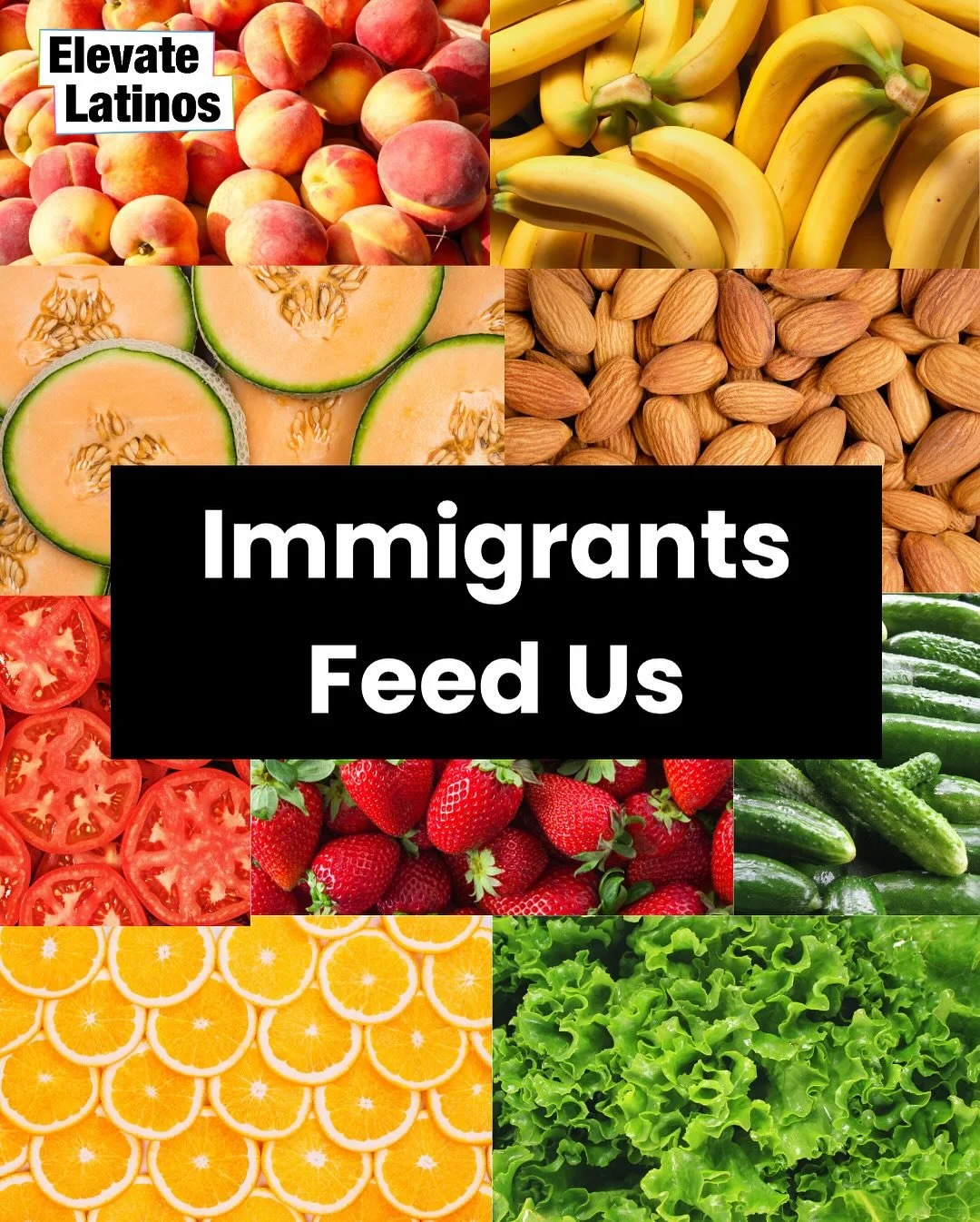 Immigrants are the backbone of America&rsquo;s food system&mdash;from the farms to the restaurants that keep our communities thriving.

Did you know that 70% of the farming workforce is made up of undocumented immigrants? Or that Latino workers contr