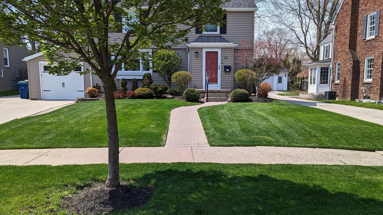 Services — Pristine Green Lawn Care
