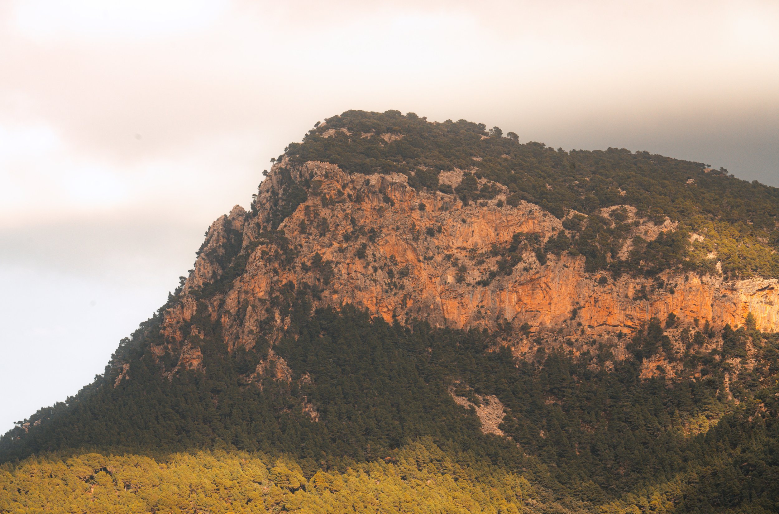 Sunlit mountain peak with lush green forest and rocky cliffs