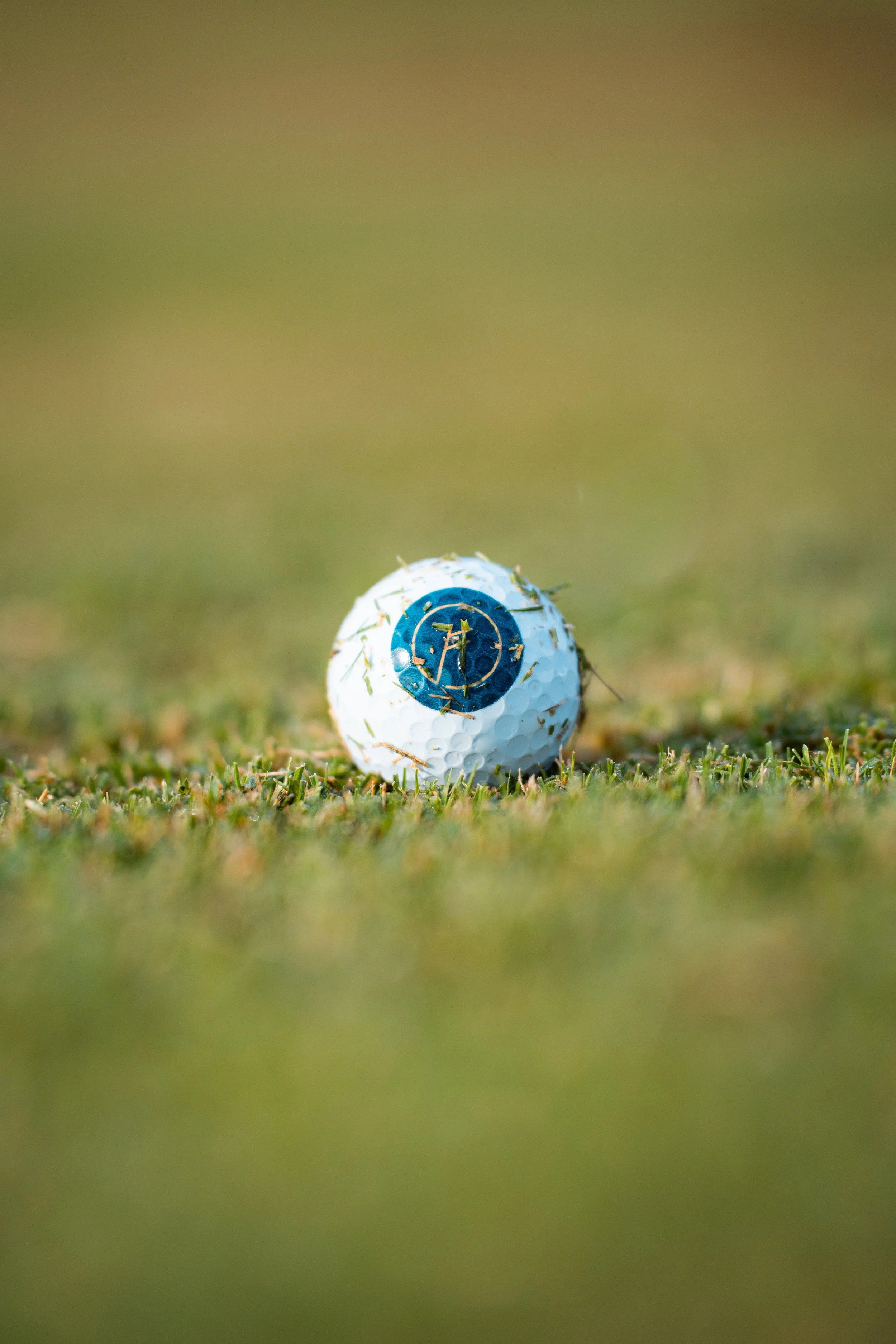 Close-up of a golf ball lying on the grass with a blurred background.