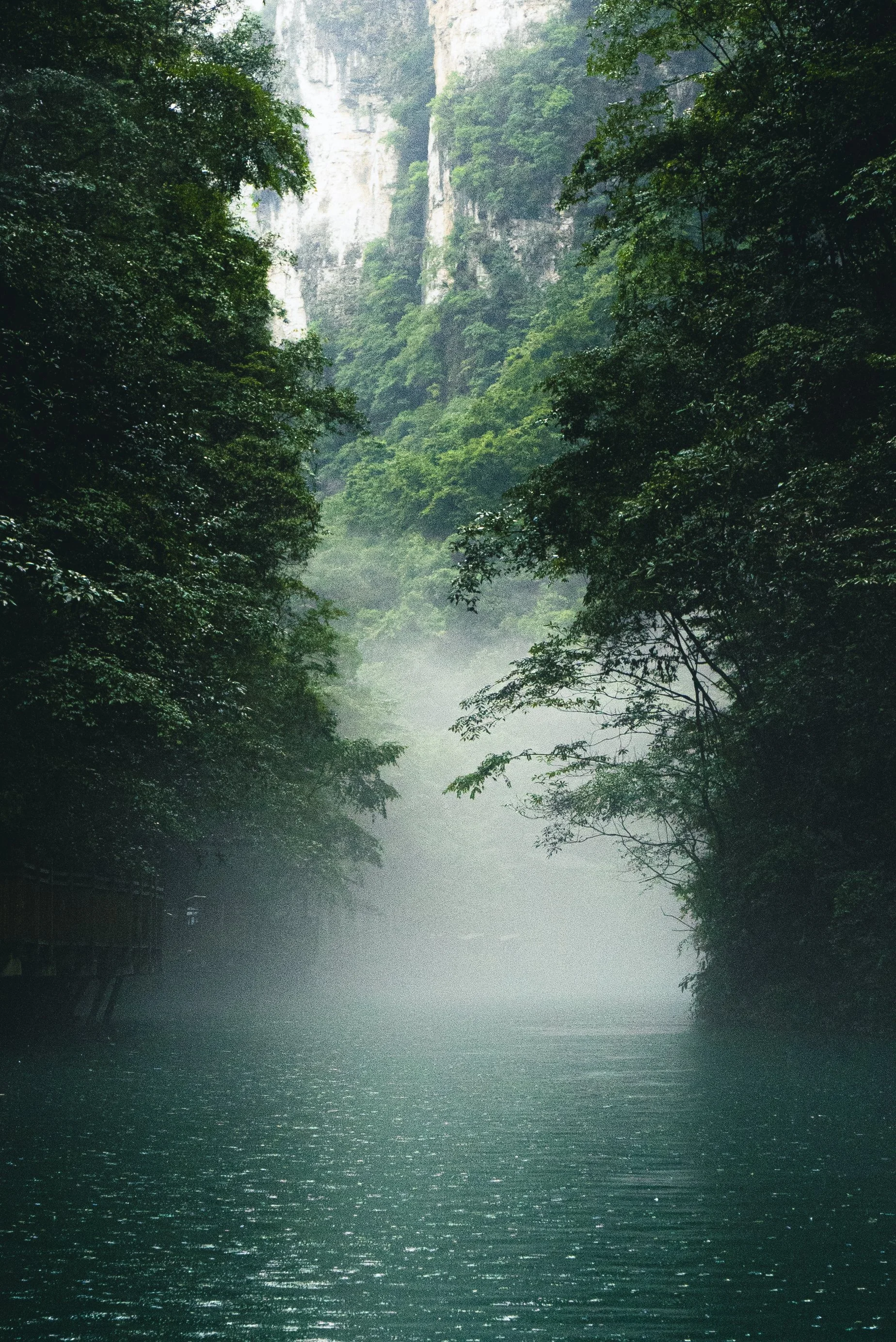 Travel_3.jpg