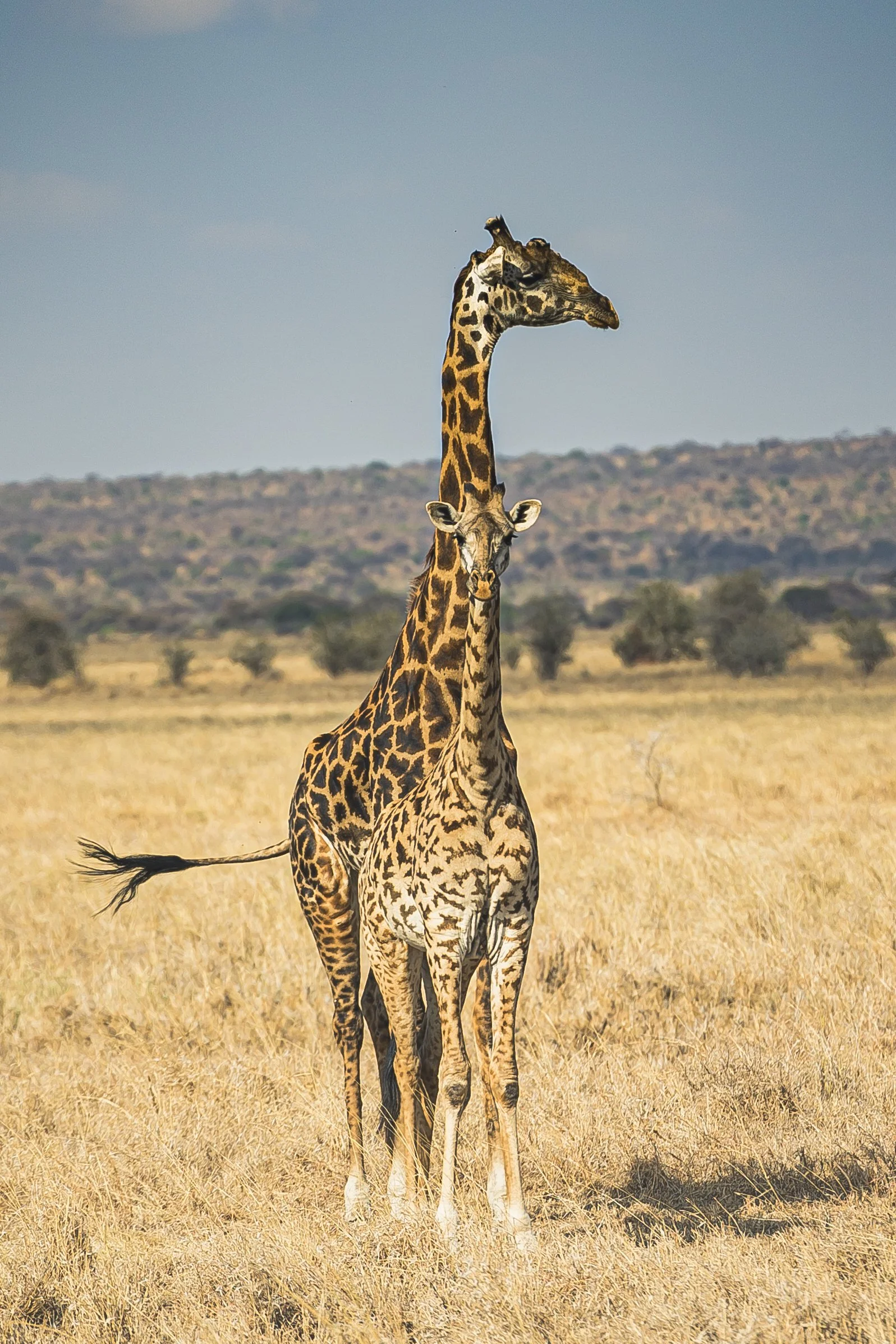Travel_13.jpg