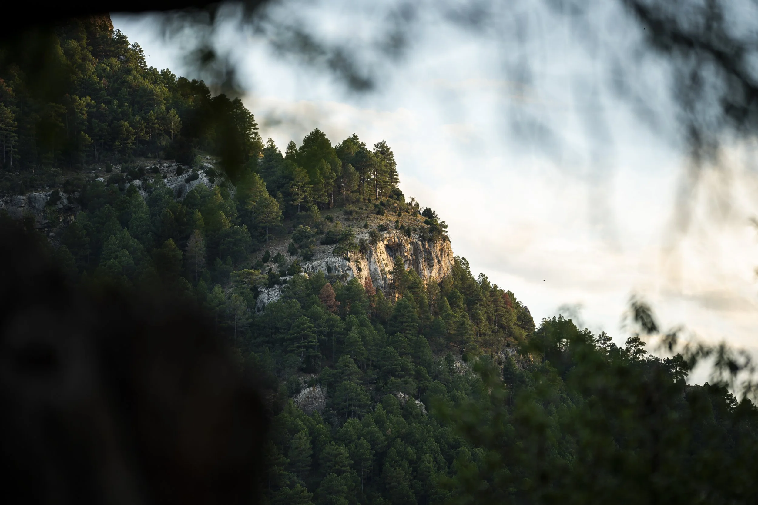 Travel_9.jpg