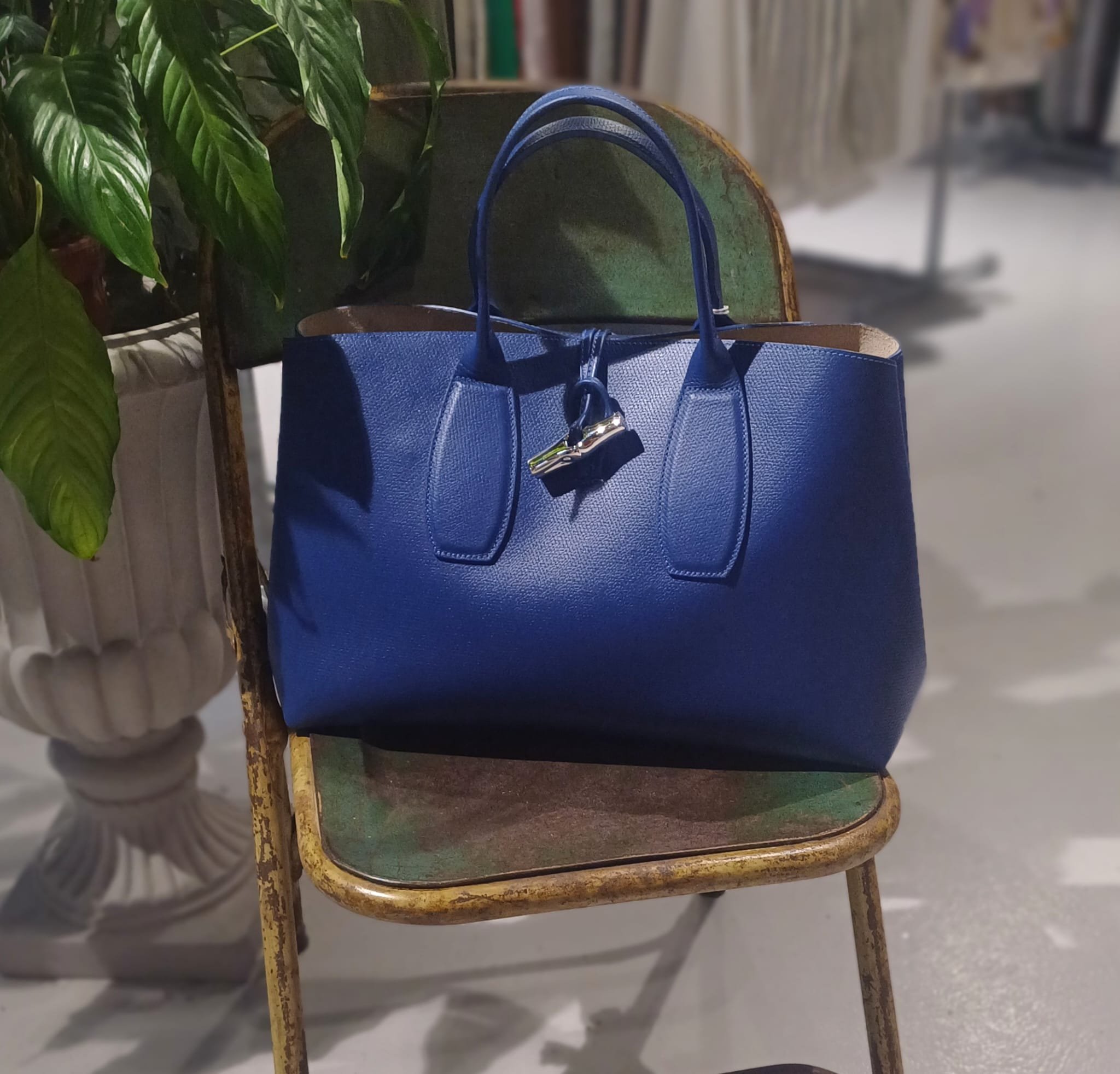 WhatsApp Image 2026-04-12 at 12.44.49.jpeg