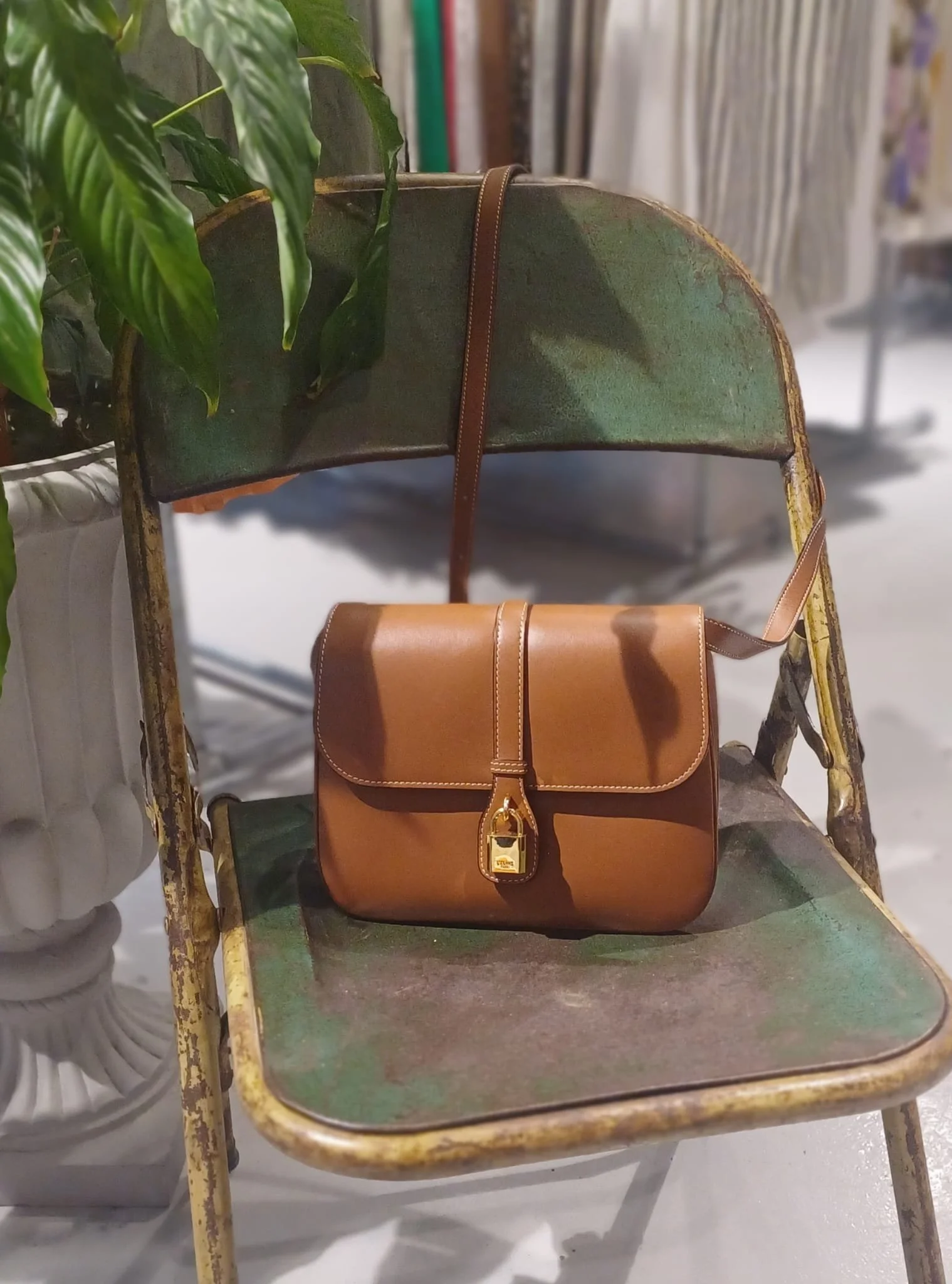 WhatsApp Image 2026-04-12 at 12.44.49 (2).jpeg