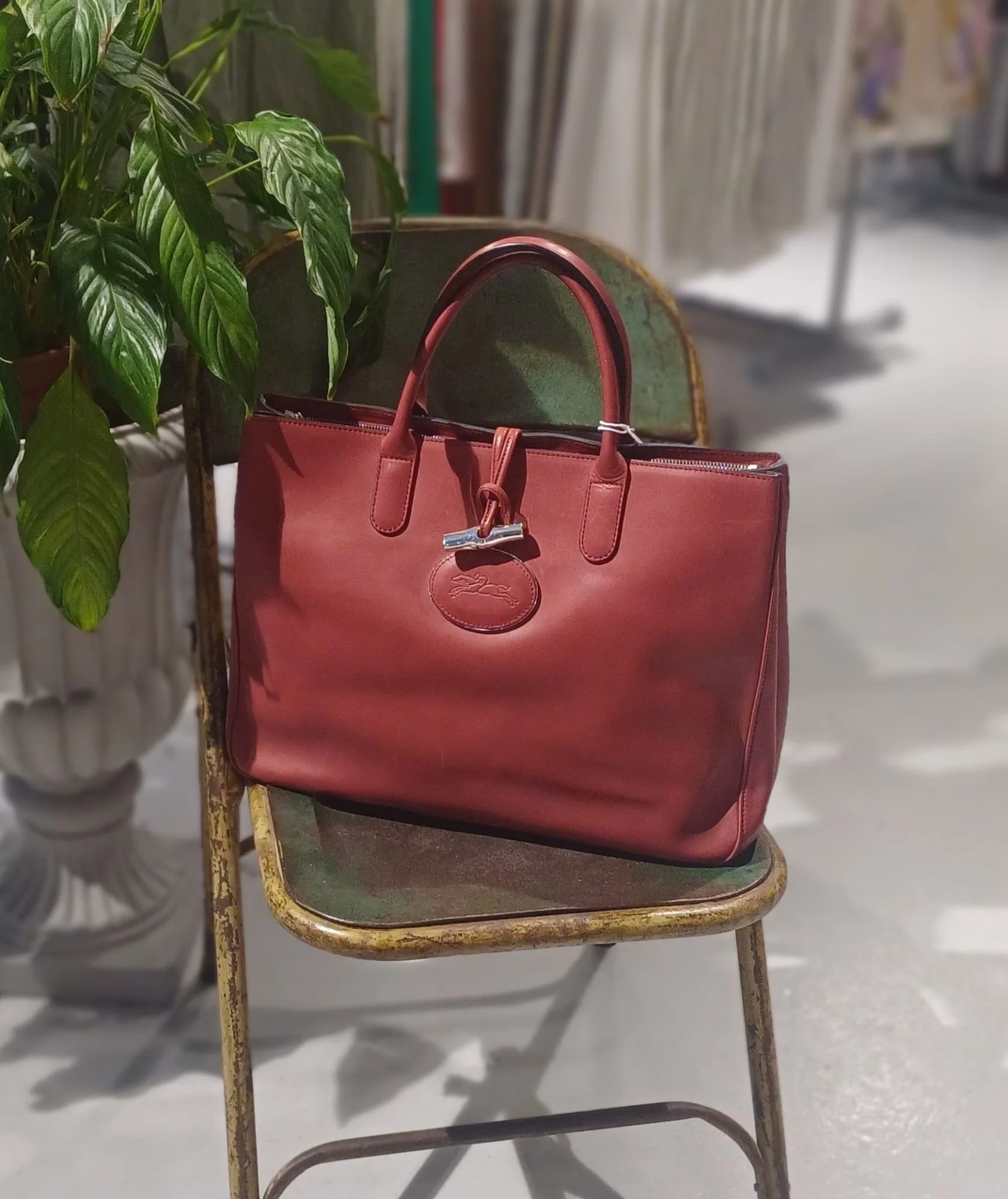 WhatsApp Image 2026-04-12 at 12.44.50 (1).jpeg