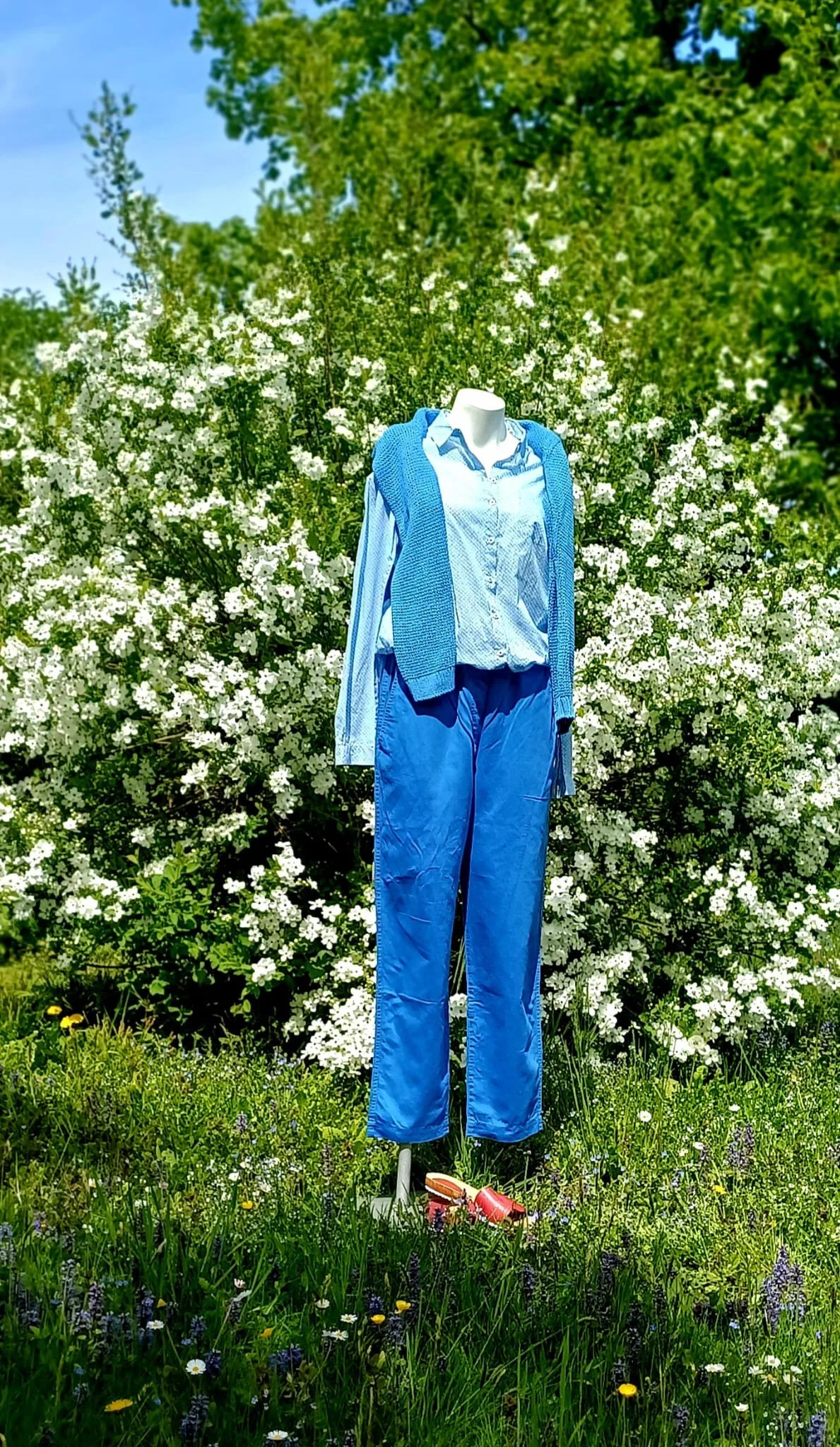 WhatsApp Image 2026-04-26 at 14.41.20.jpeg