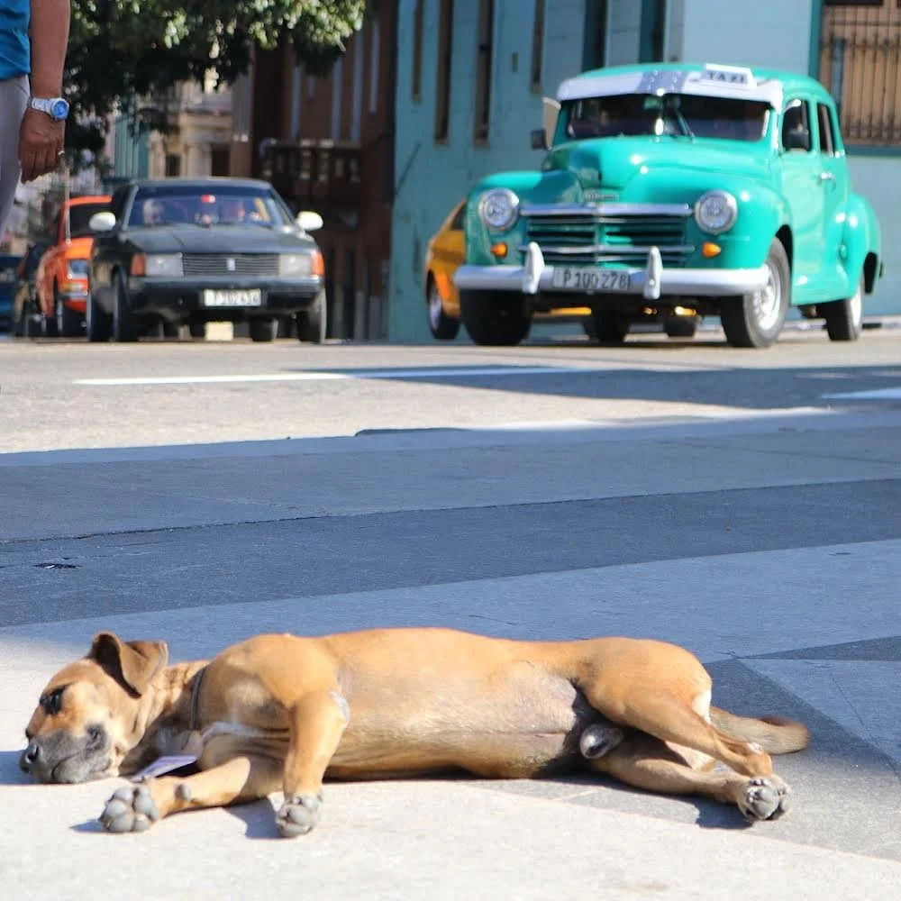 ©rlspix | Documentary