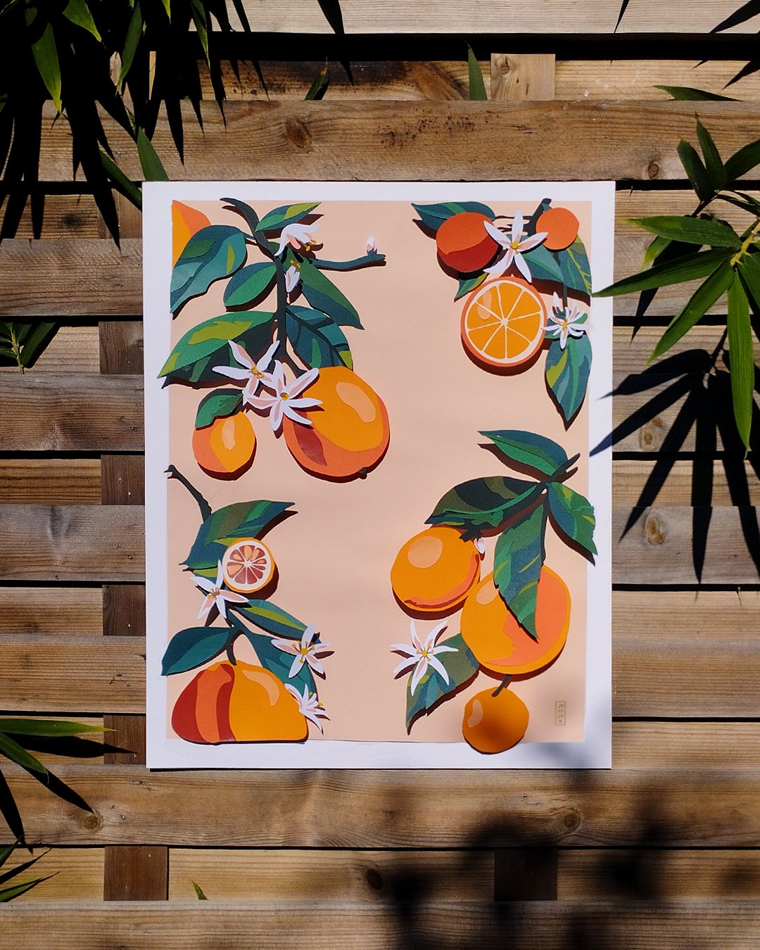 oranges1face.jpg