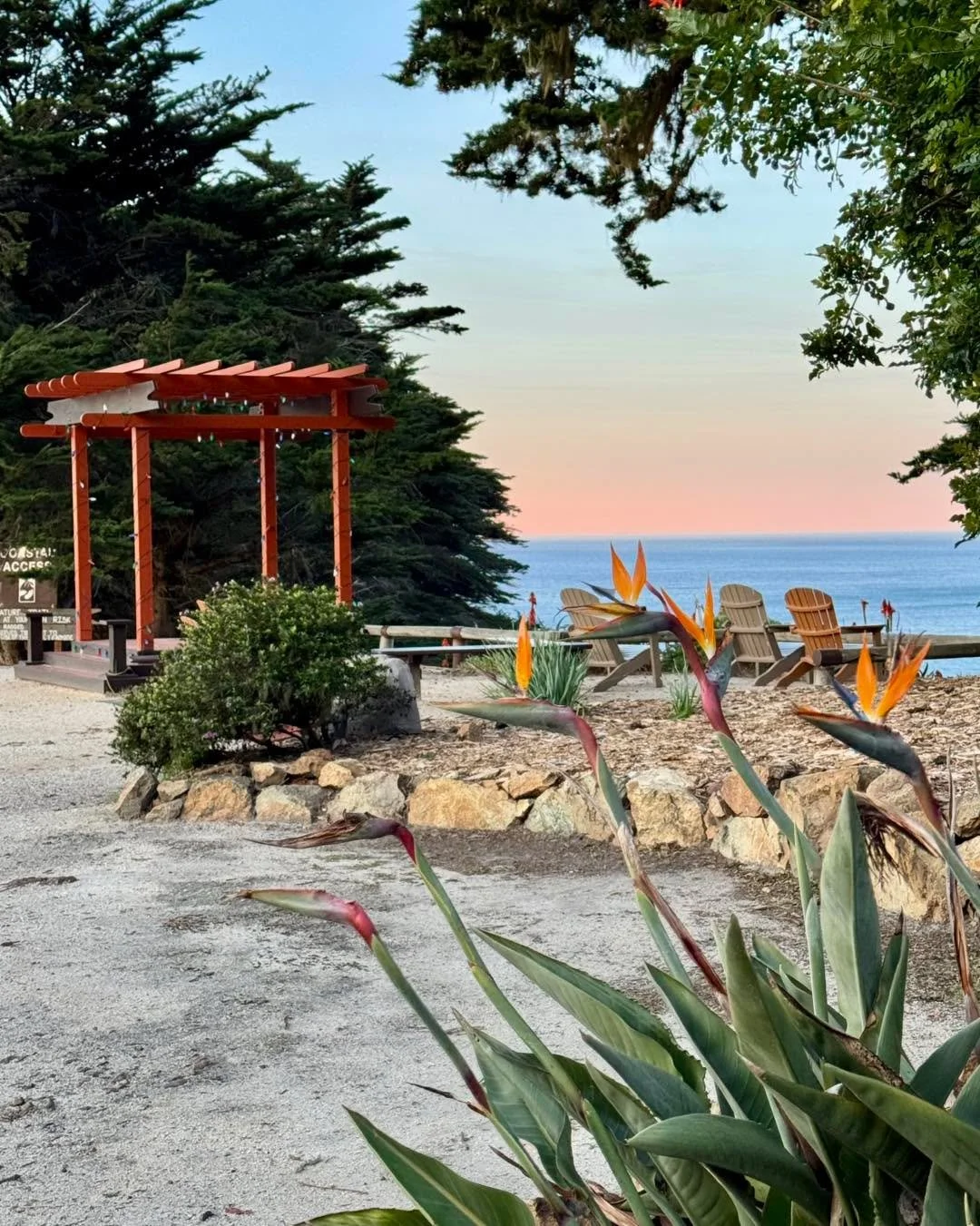 Another quiet, breezy Sunday morning on the south Big Sur coast. 🌊 🌺 🐳 

#raggedpoint_coffeeshopbakery #VisitSanSimeon #visitslocal