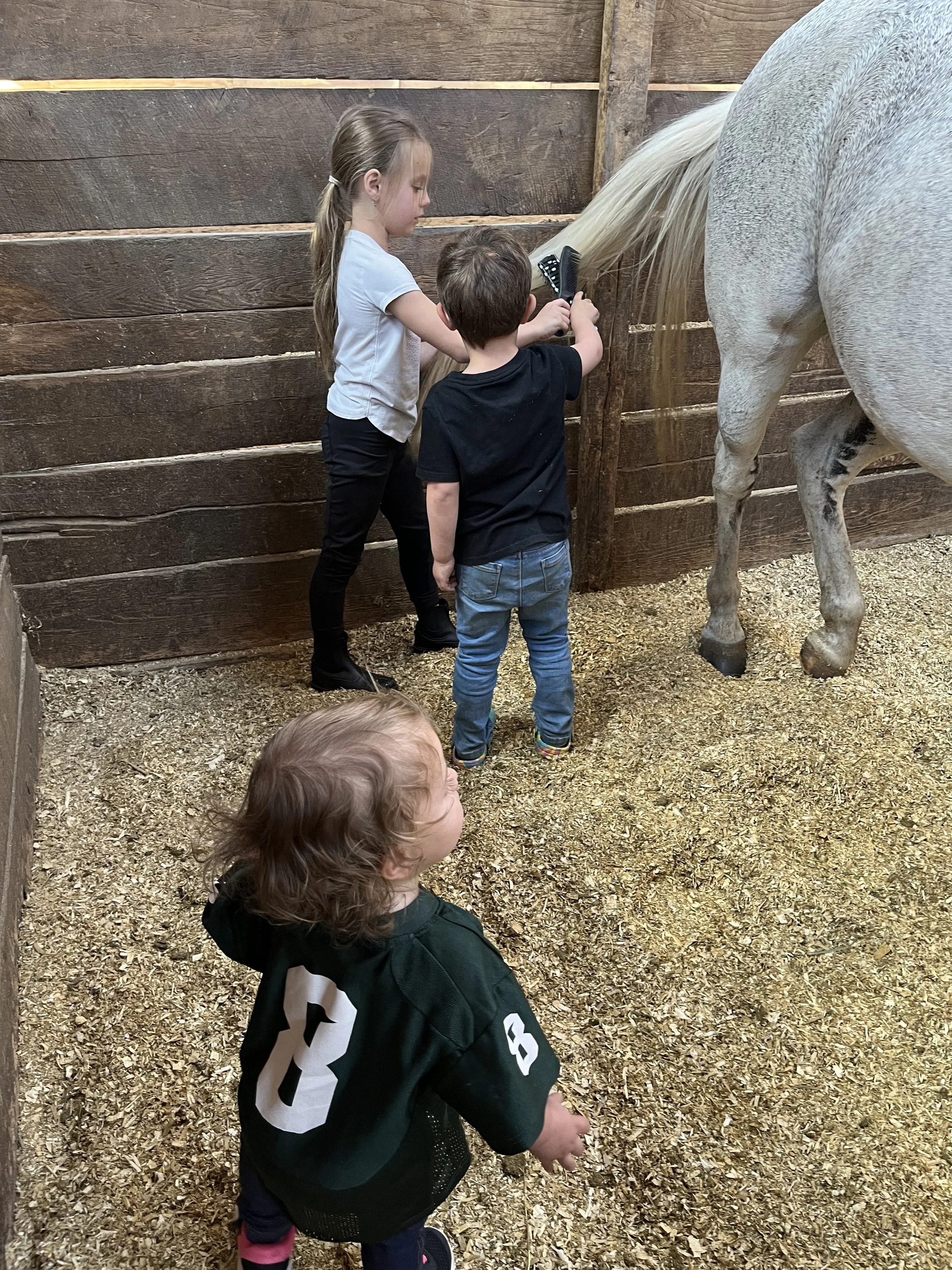 Summer Horse Camp