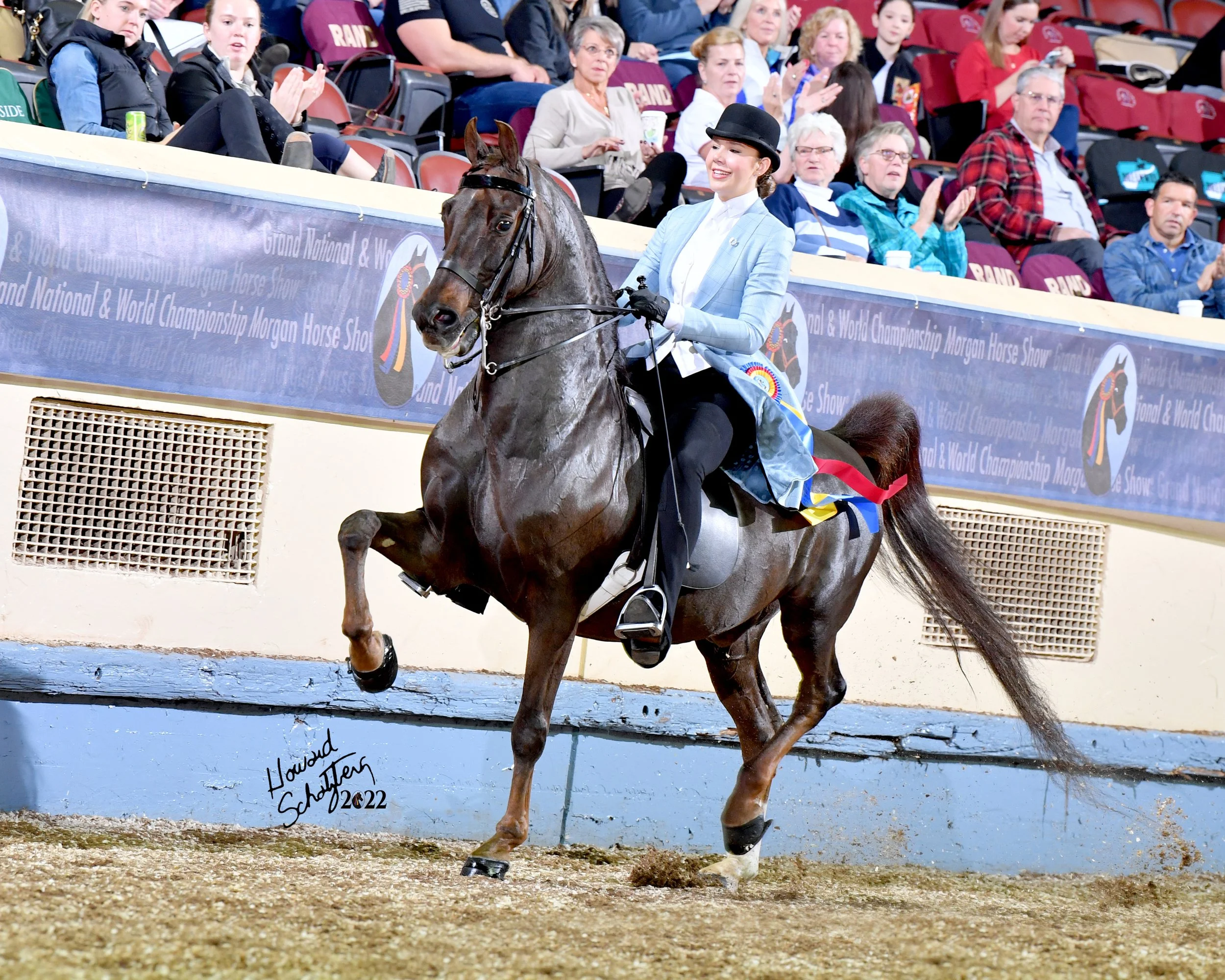 Abigail Marry & Master Disaster GCH - 2022 Youth Classic Pleasure Champions