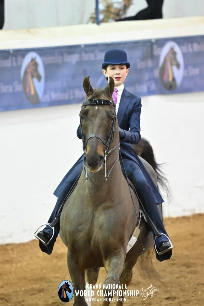 Master Disaster GCH in his equitation debut with Madeline Thomas-Higgins