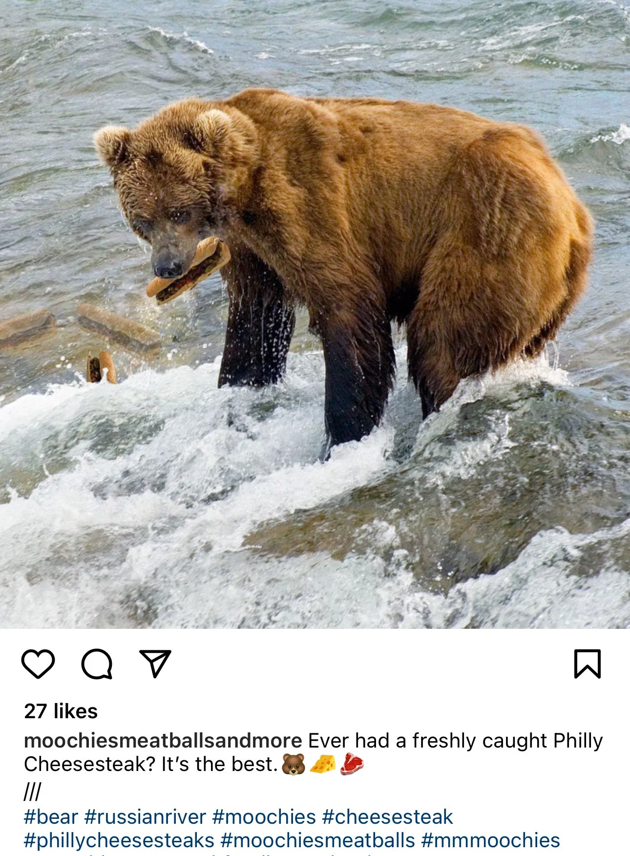Moochie's Social Post - Instagram