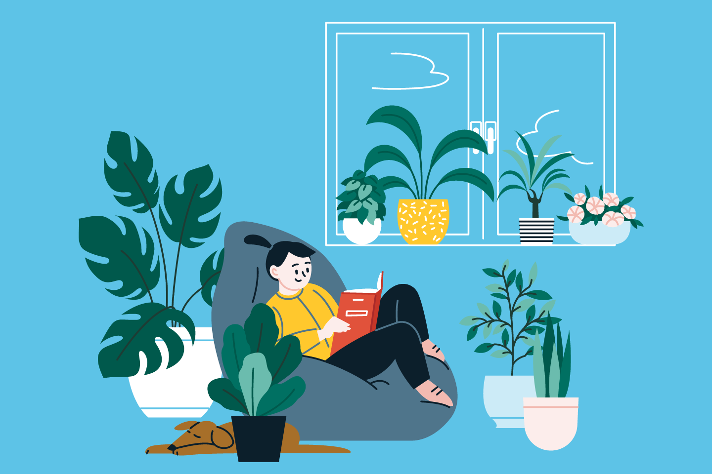 Best Pet-Friendly Houseplants - Blog written for Primary Residential Mortgage