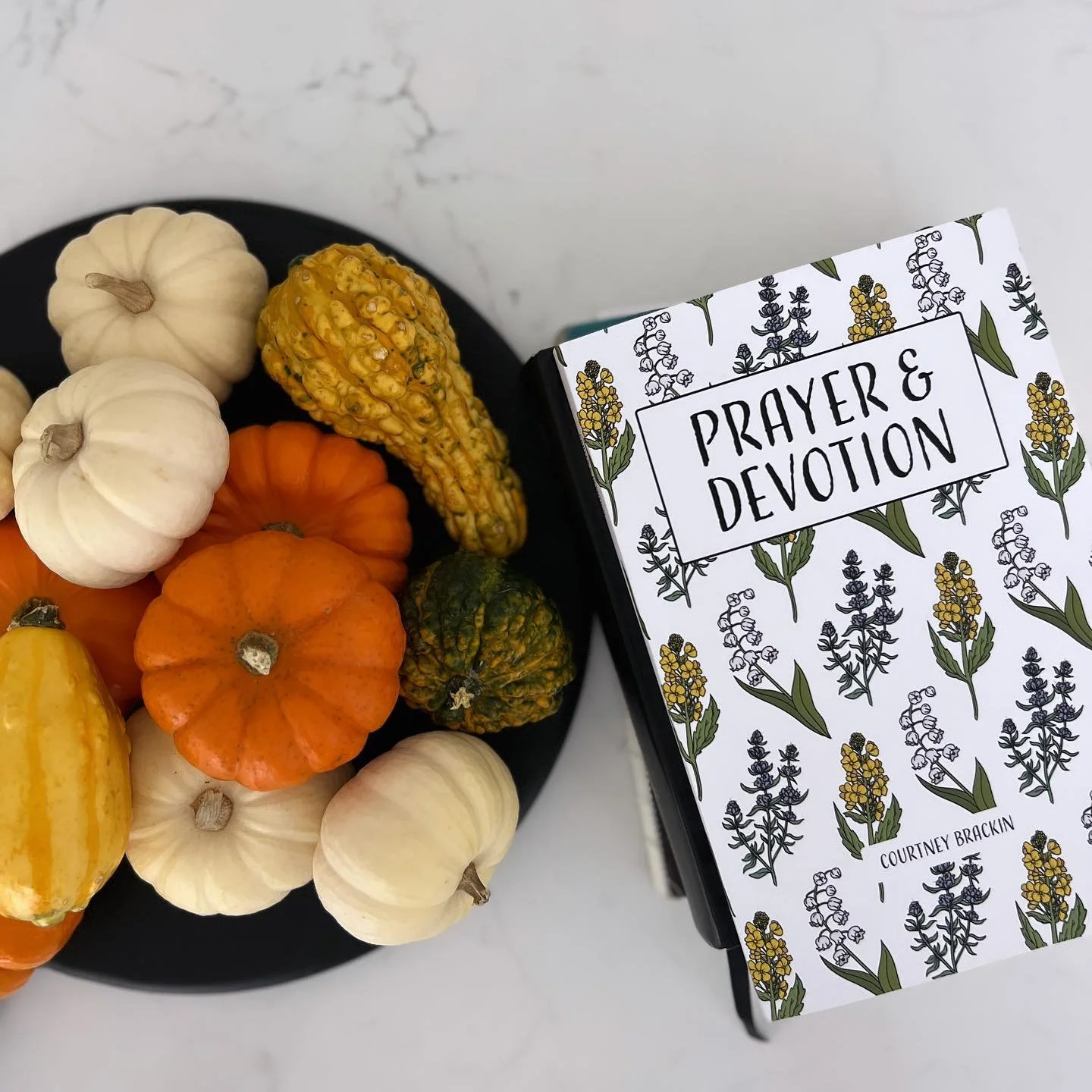 Thank you for being so supportive and encouraging about the new devotional! I pray it helps draw you closer to the Lord and to his life-changing Word!