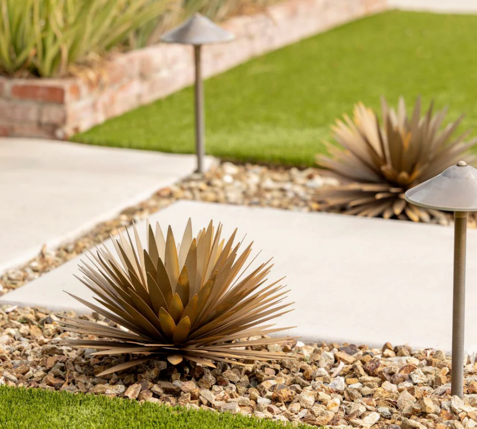 yucca.png