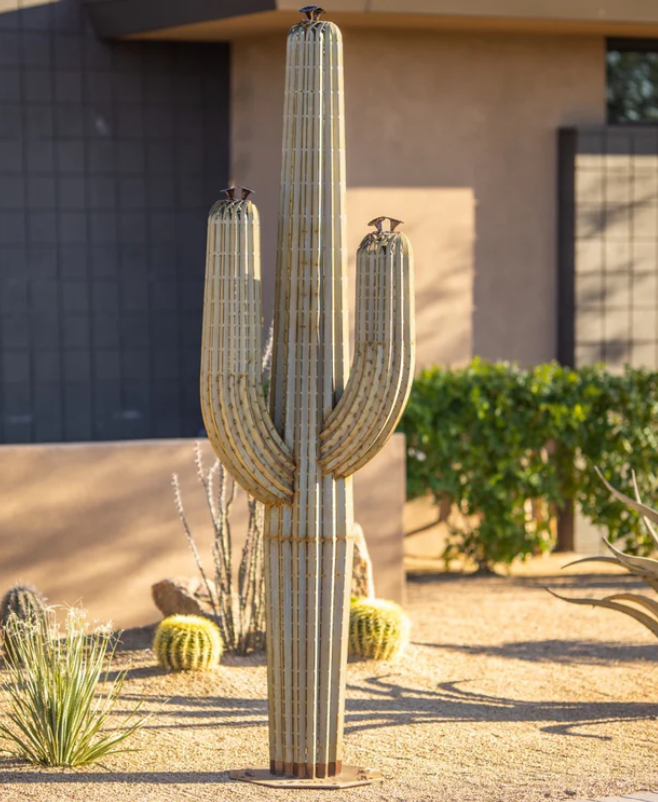 Saguaro Cactus installed