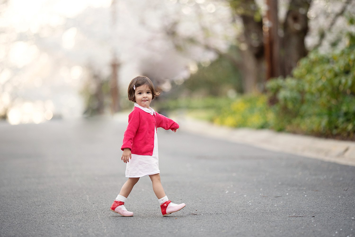 child walking in cherry blossoms