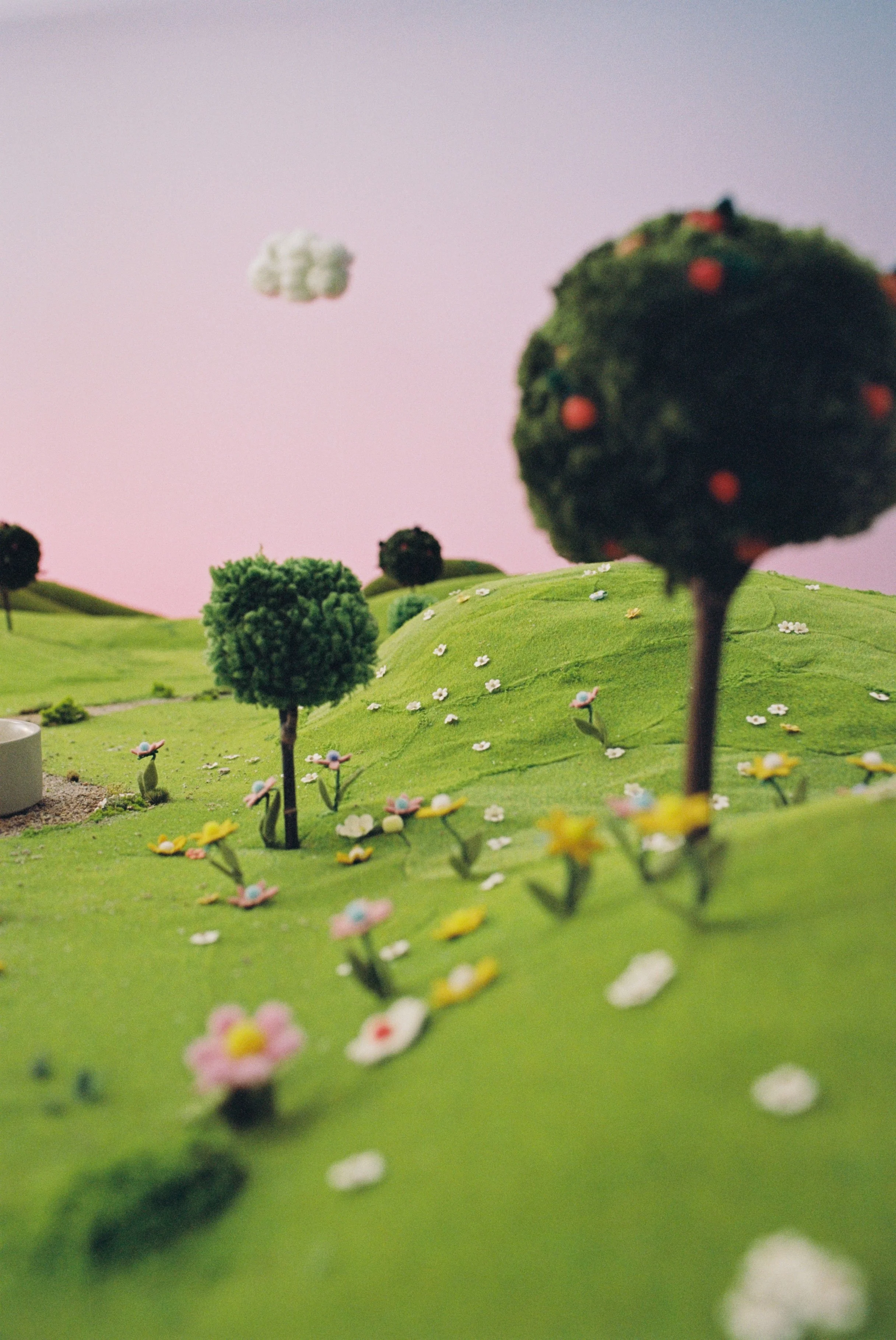 Dolina Noteci - zdjęcia analog8.JPG