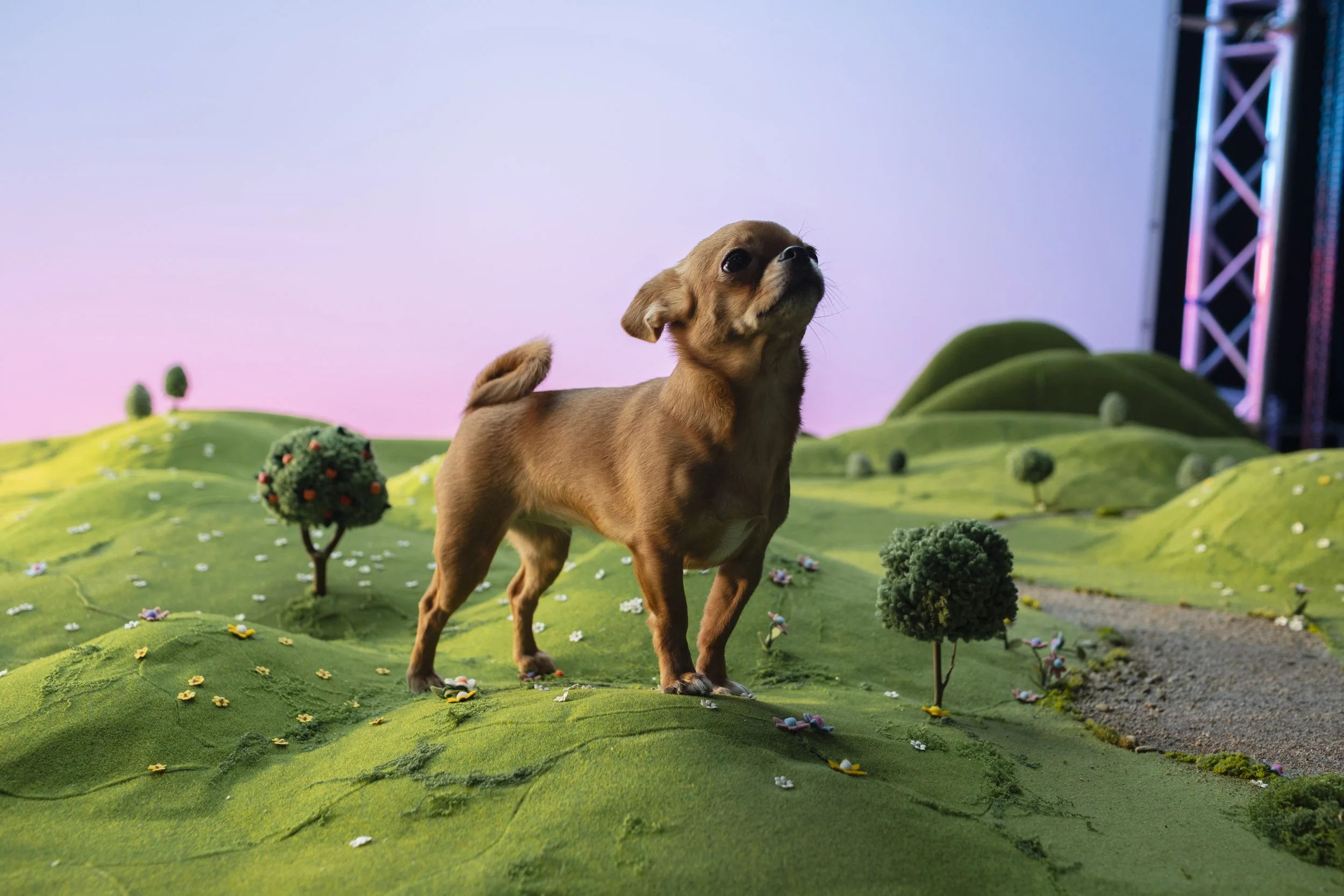 dolina noteci reklama .JPG