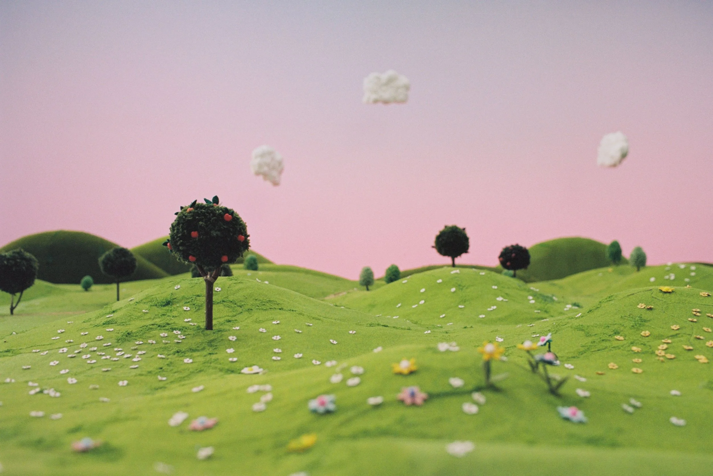 Dolina Noteci - zdjęcia analog2.jpg