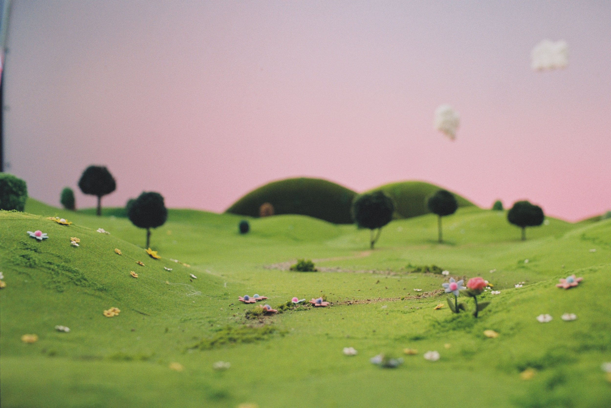 Dolina Noteci - zdjęcia analog3.jpg