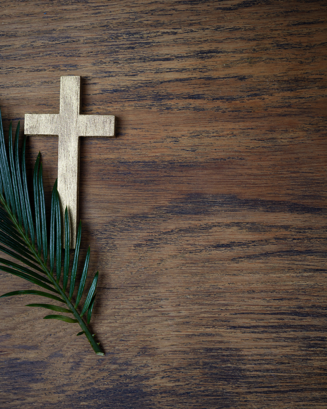 From Fixing to Inviting: What Lent Teaches Practice Owners About Healing