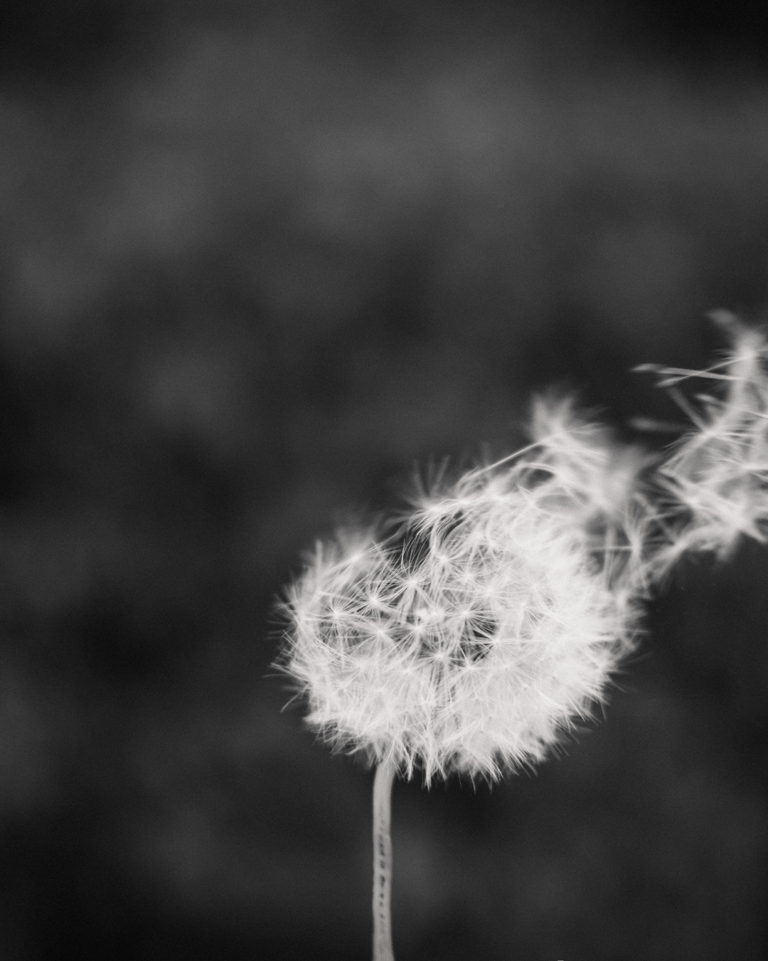 Chasing After the Wind: When Comparison Creeps Into Our Work