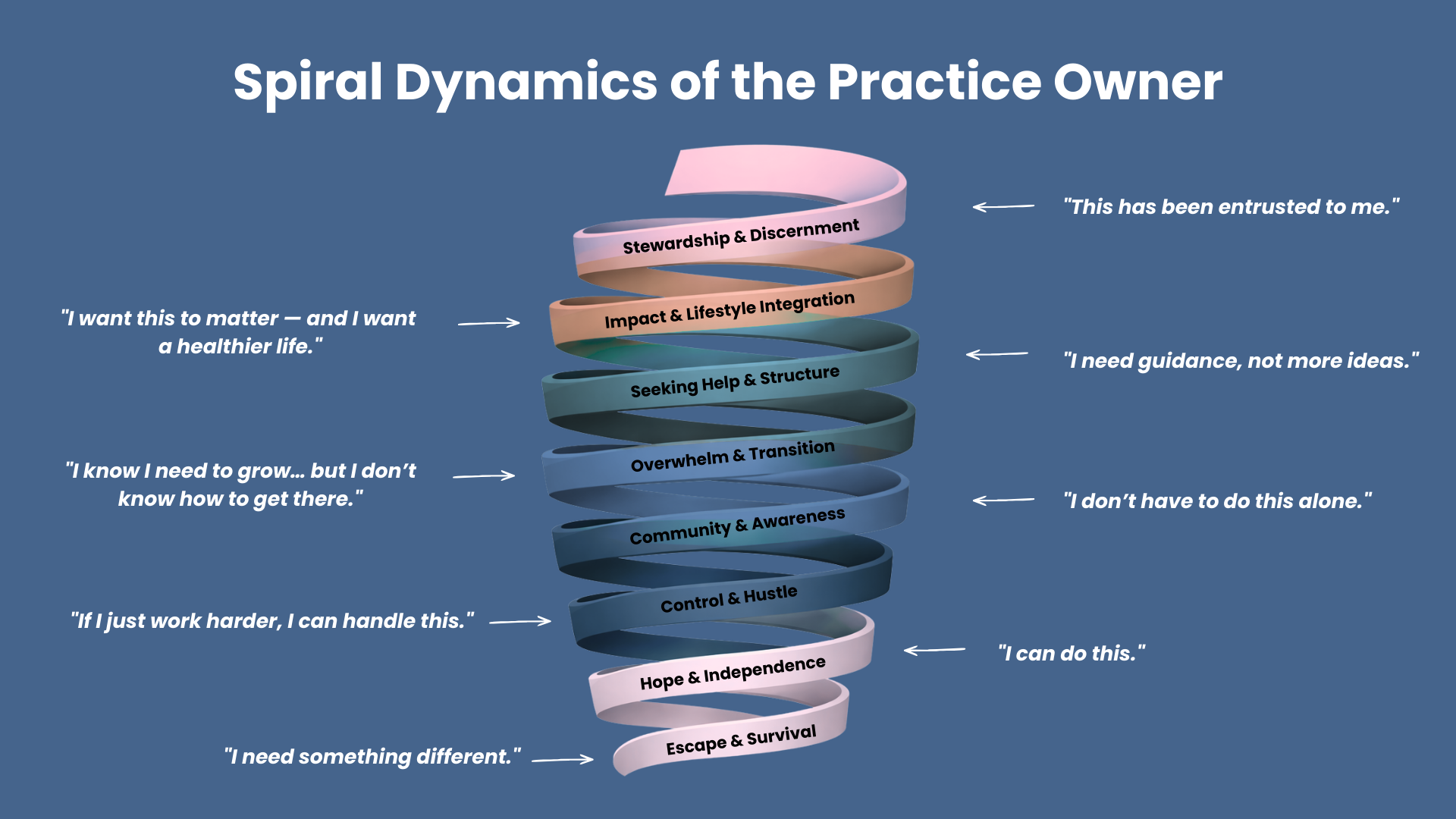 Spiral Dynamics of the Practice Owner