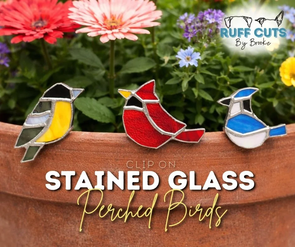 AIMEE GABE GATLYN GRAELYN (15).jpg