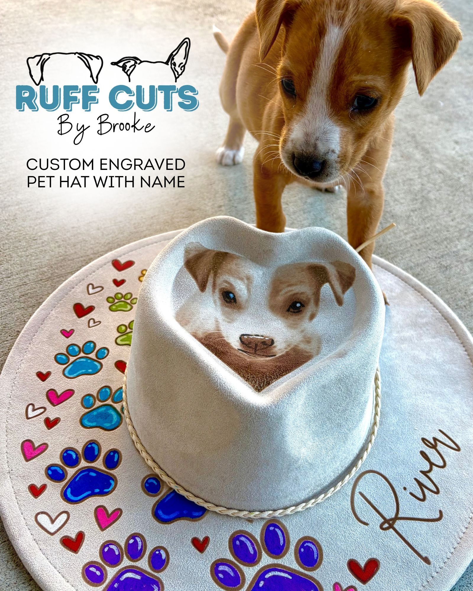 Fall Lake View (32).jpg