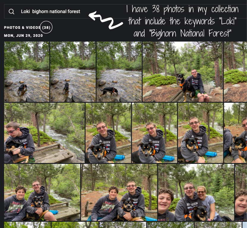 Why I love keywording my photos and why you should too — Arrange Wander ...