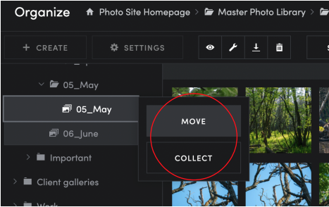 Using SmugMug — Arrange Wander Focus