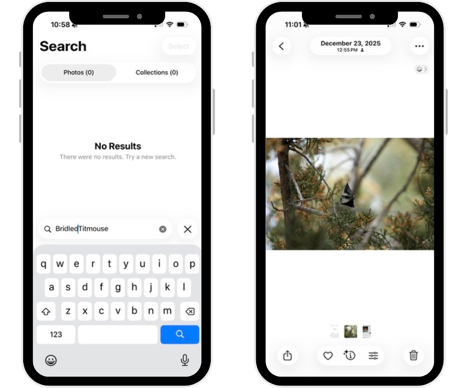 two screenshots of an iphone screen. one showing no results for a search for a bridled titmouse, the other showing a photo of a bridled titmouse