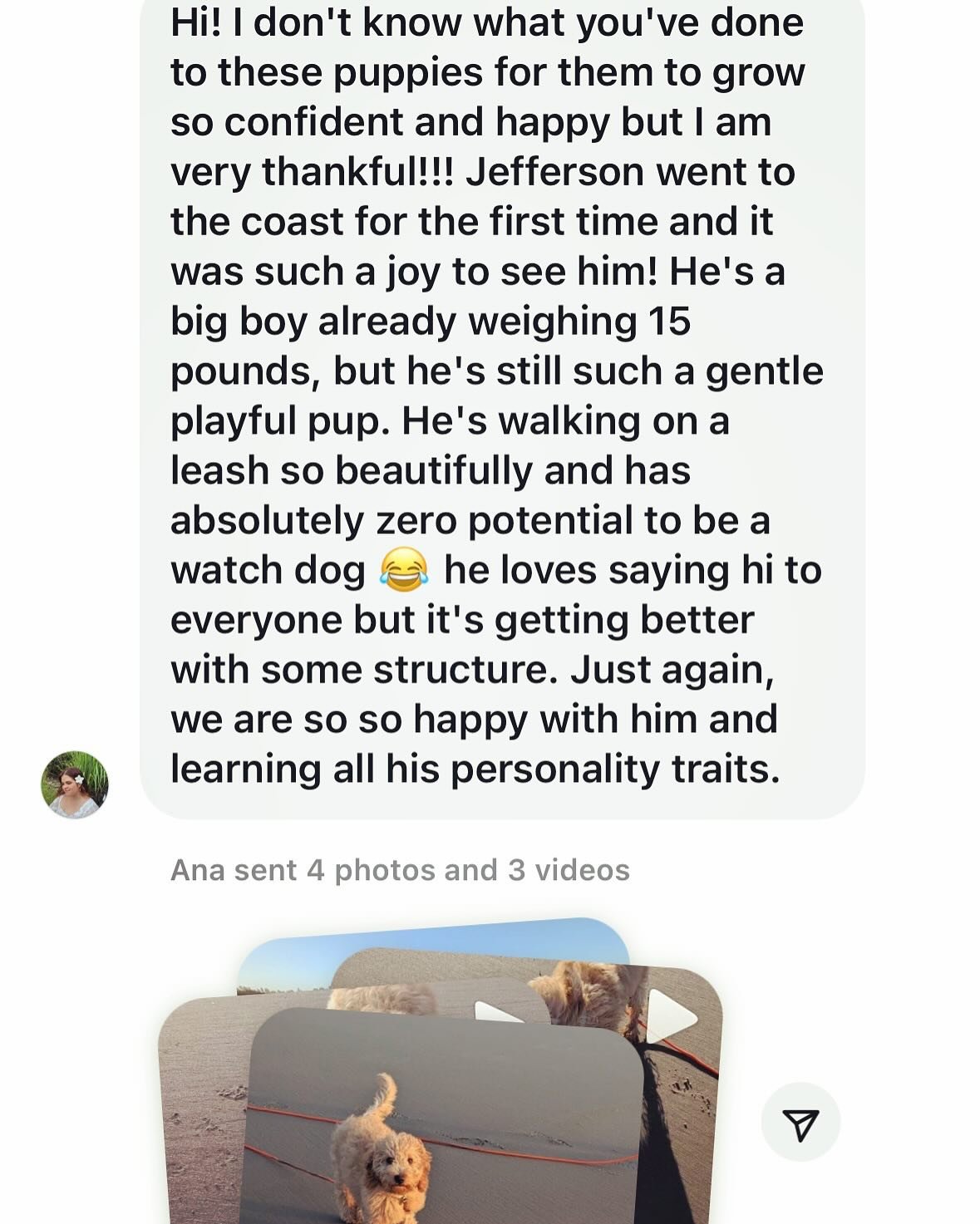 I don't share these messages nearly enough. This one came in yesterday. I love Lionheart pups and am so grateful to be part of their lives! Part of your lives!

Also. No pressure to current and future Lionheart families, but even with the most obscur