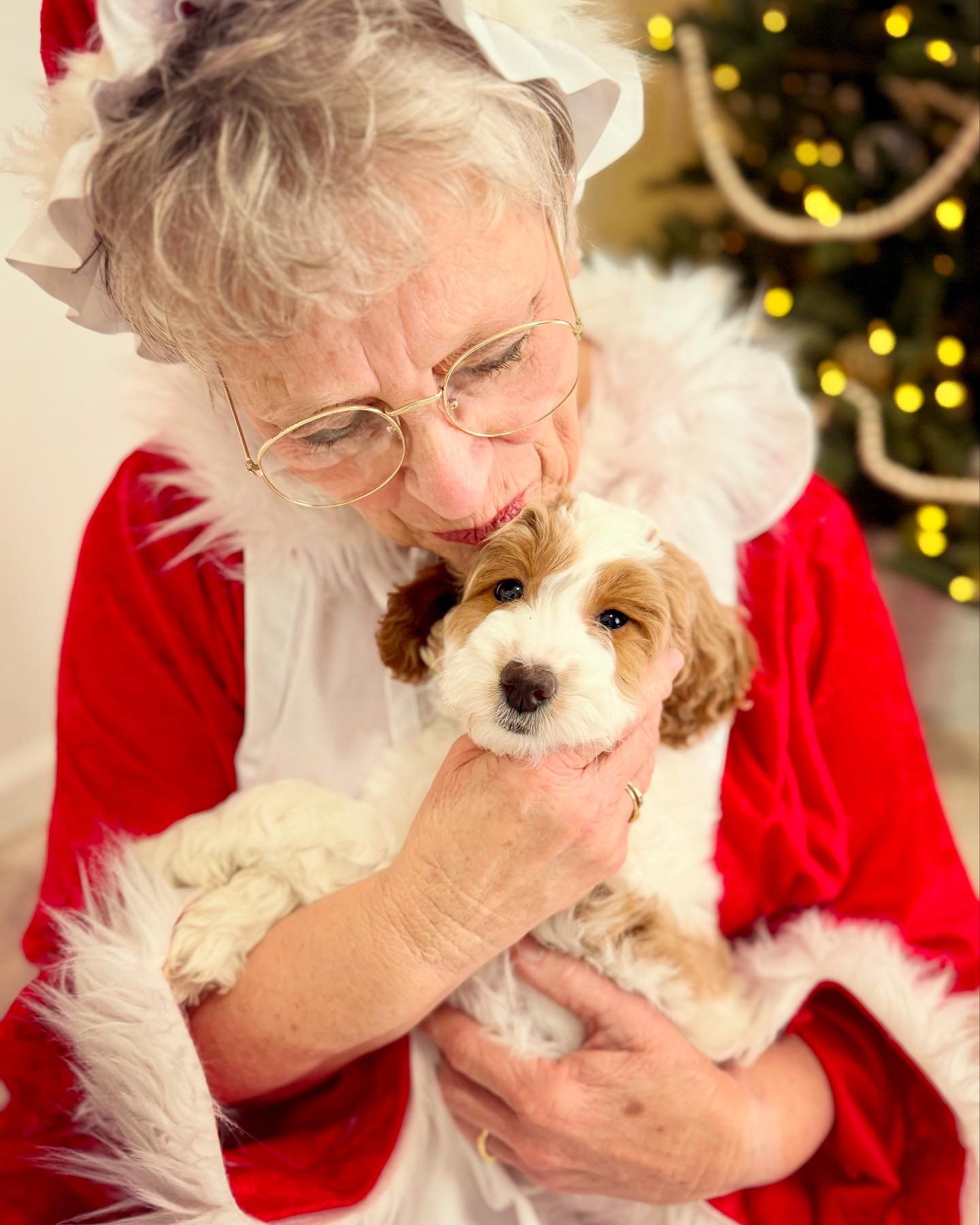 Sneak peek. Socialization at its finest: Buttering up the big guy, meeting Mr &amp; Mrs Claus! Expecting not to get, but to BE presents under the tree to ready homes this year.
