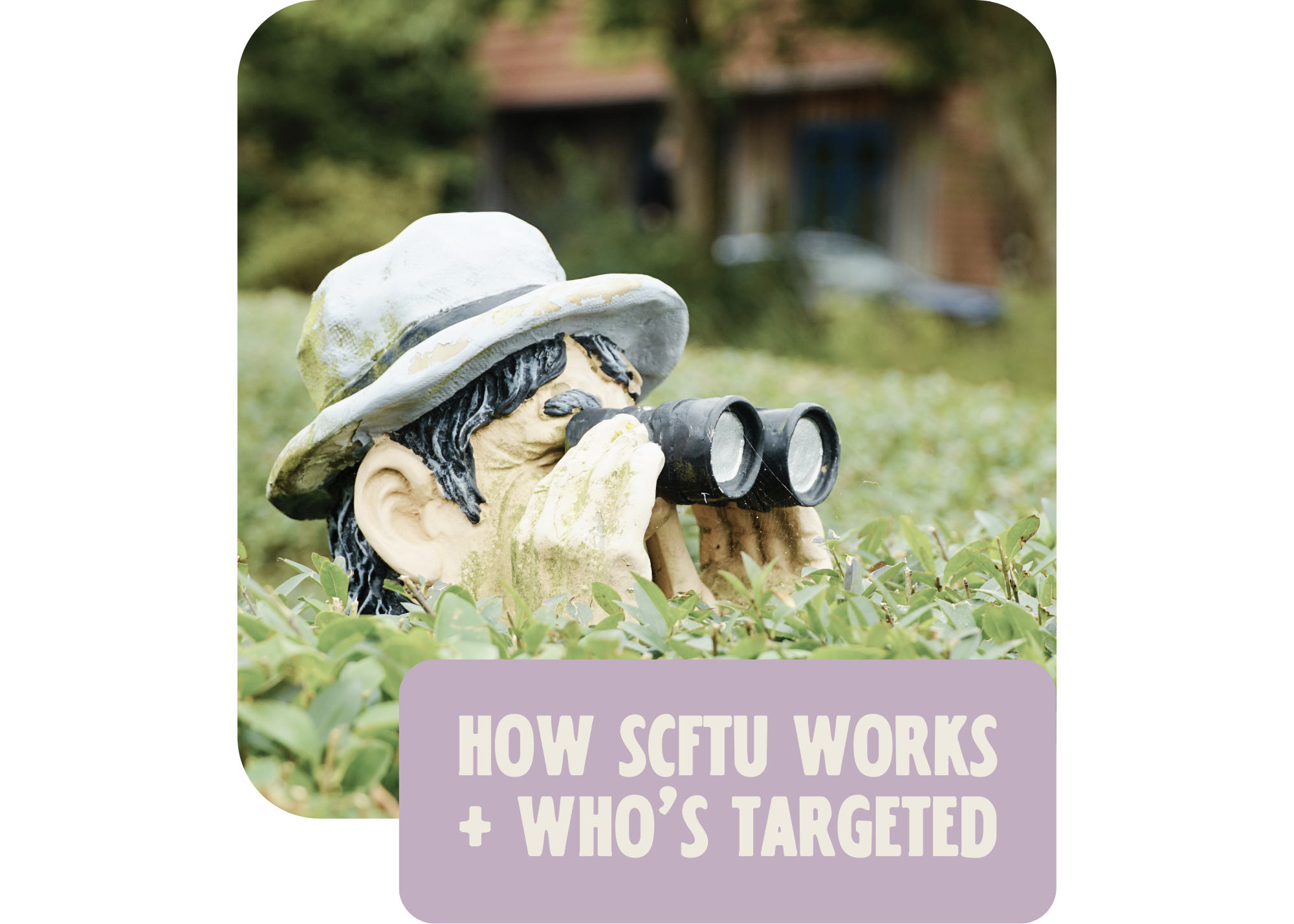 Flowchart showing how Sanctuary Cities for the Unborn ordinances allow private citizens to sue