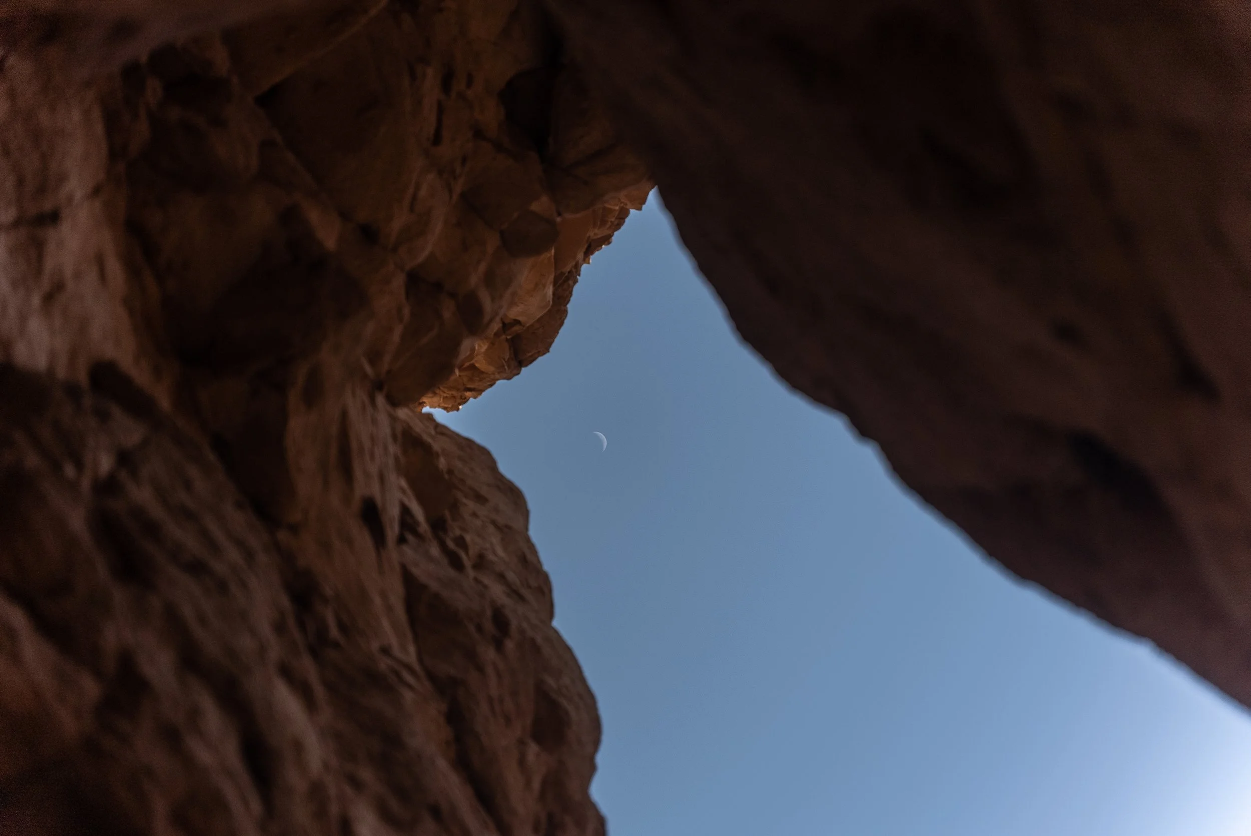 _LeonardoAvezzanoPhotography-09807.jpg