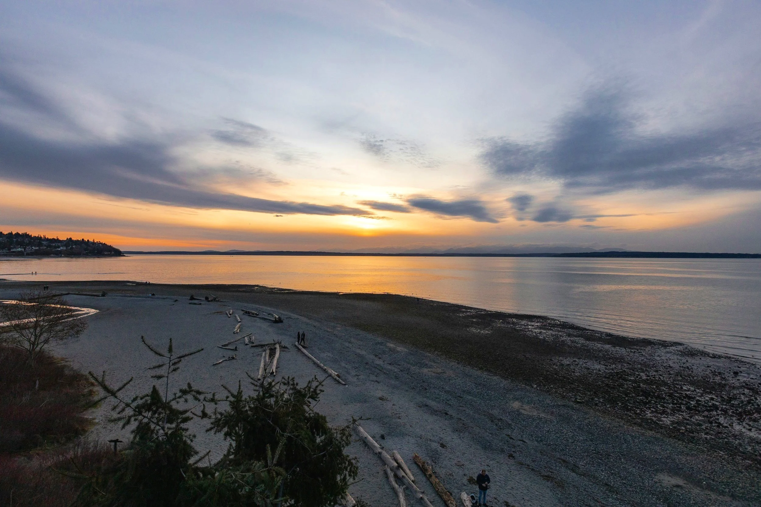 Therapy in the Puget Sound