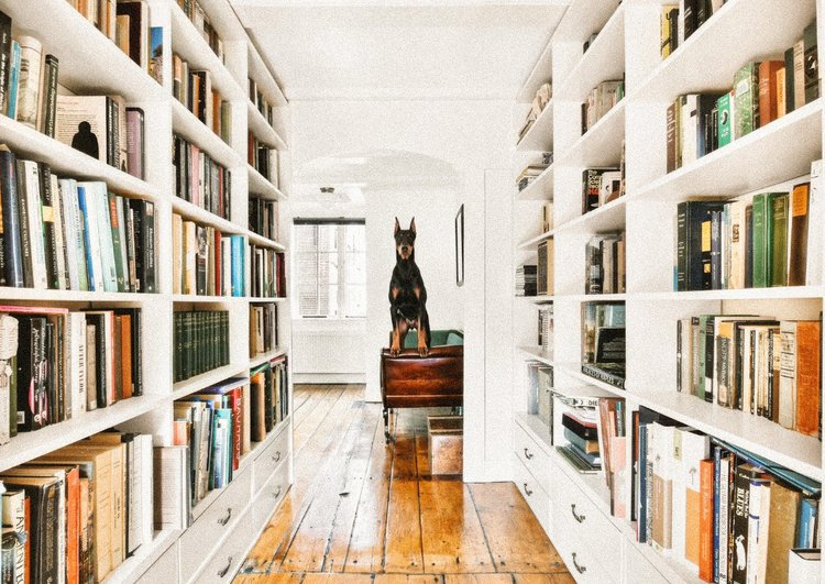 Vitamin E for Dobermans: Not a Casual Add-On
