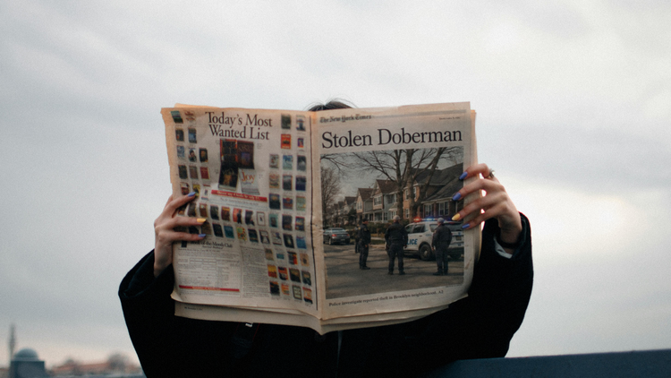 10 Things About Dog Theft You Should Know As a Doberman Guardian