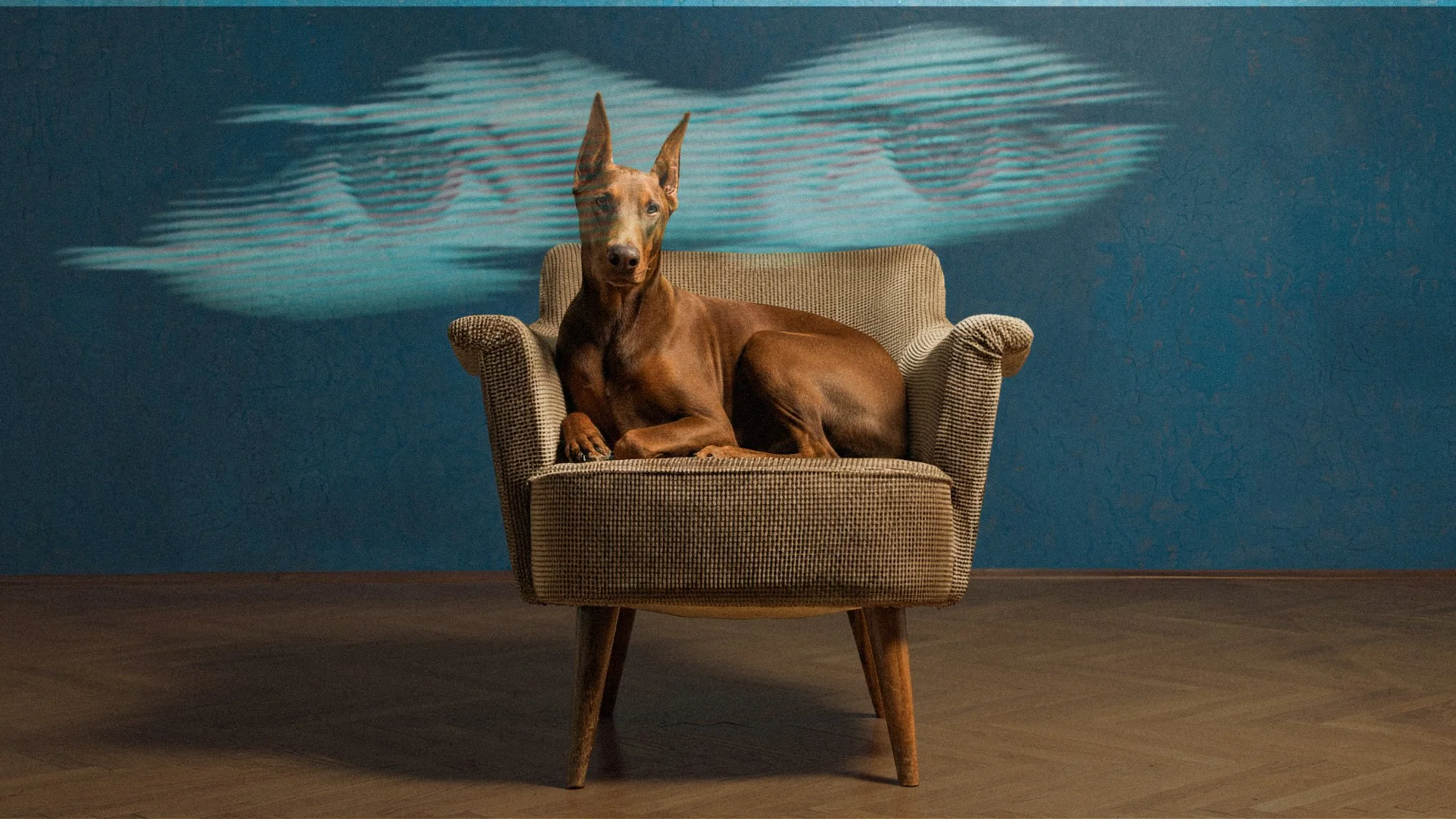 Understanding and Managing Common Skin Issues in Dobermans