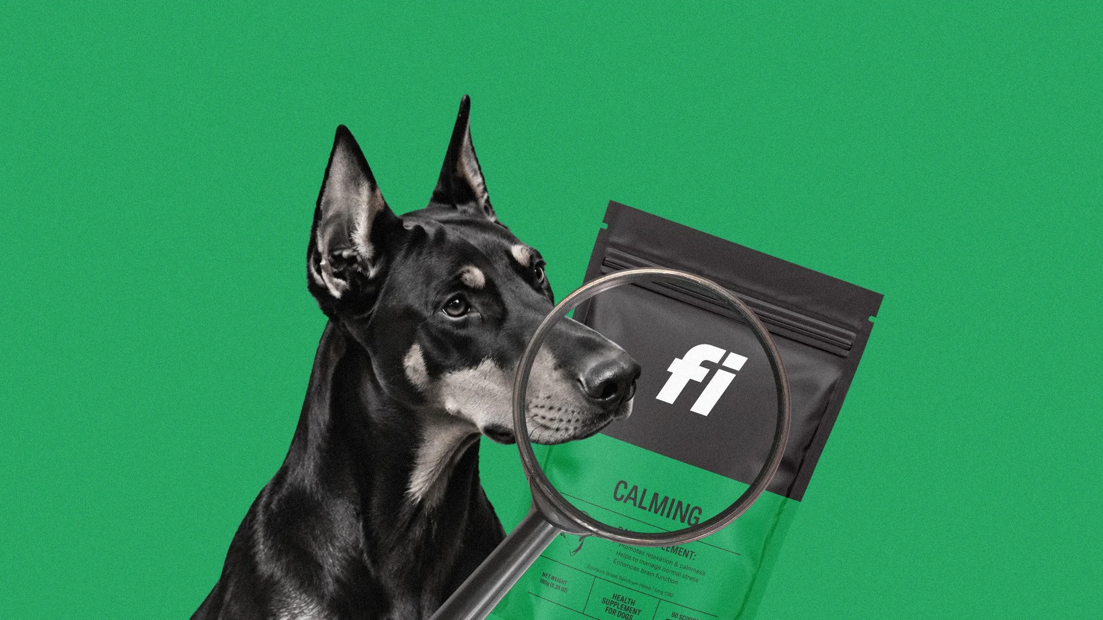 Fi Dog Supplement Recall