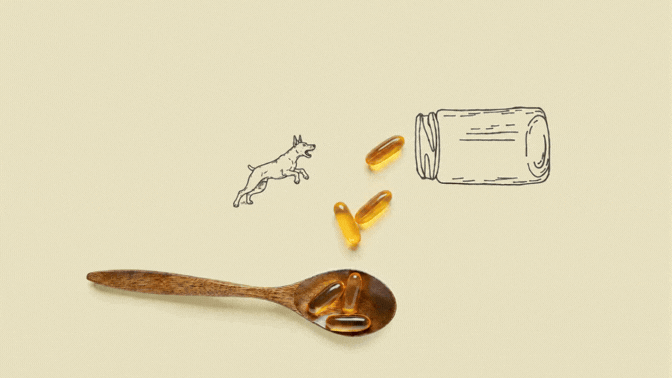 Omega-3 Fish Oils for Dobermans: A Comprehensive Guide