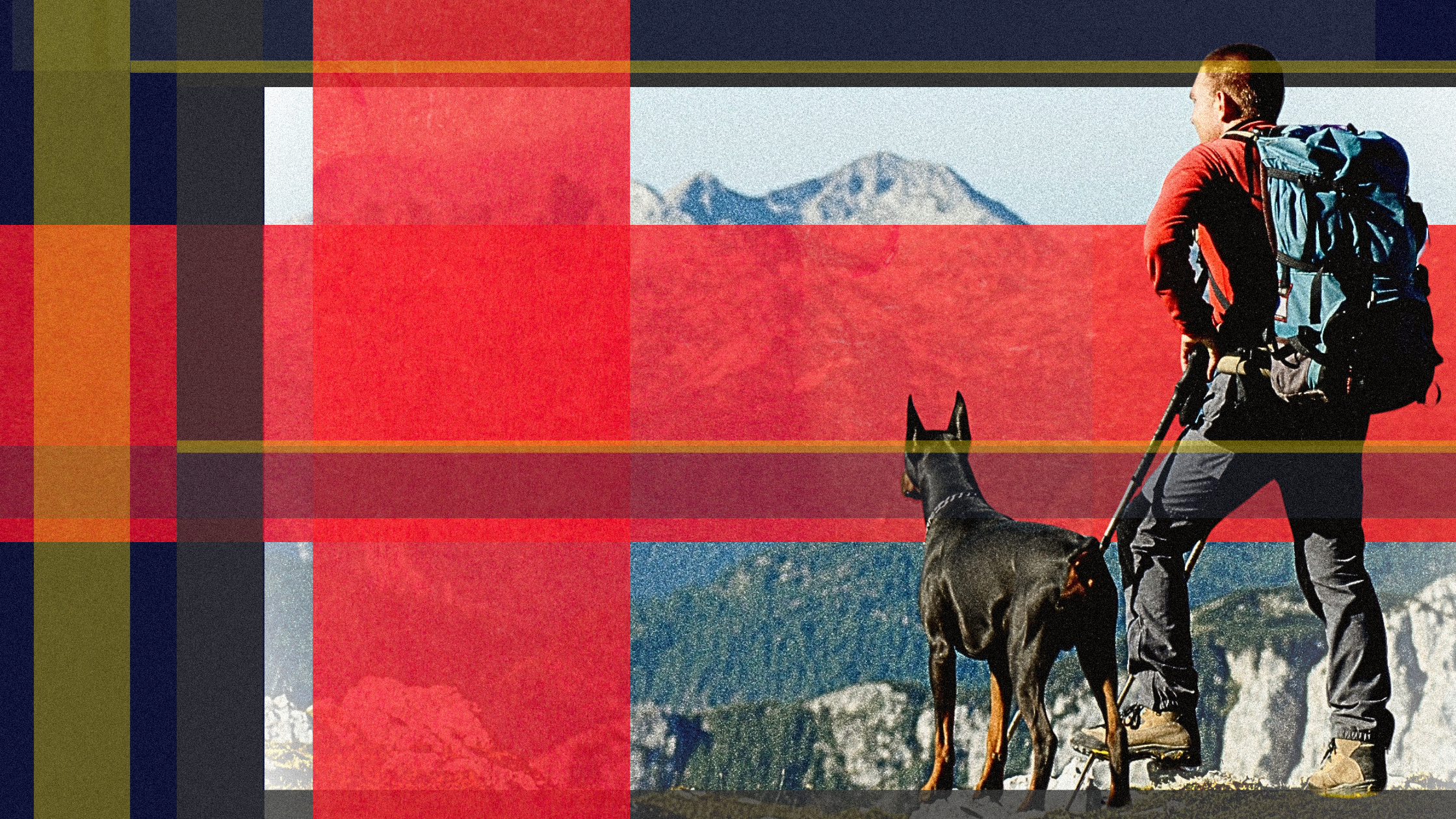 Hiking with a Doberman: A Guide for Guardians
