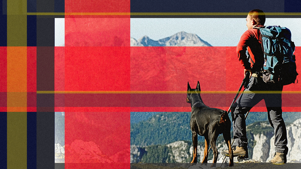 Hiking with a Doberman: A Guide for Guardians